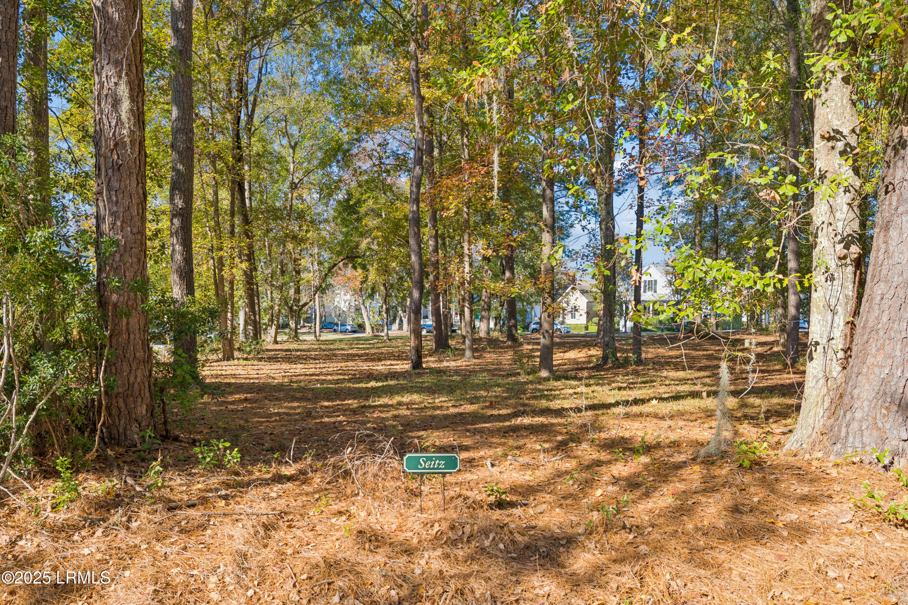 7 North Loudon Beaufort, SC 29906 - Photo 5 of 40 7NLoudenLot-IslandHouseMedia-0002