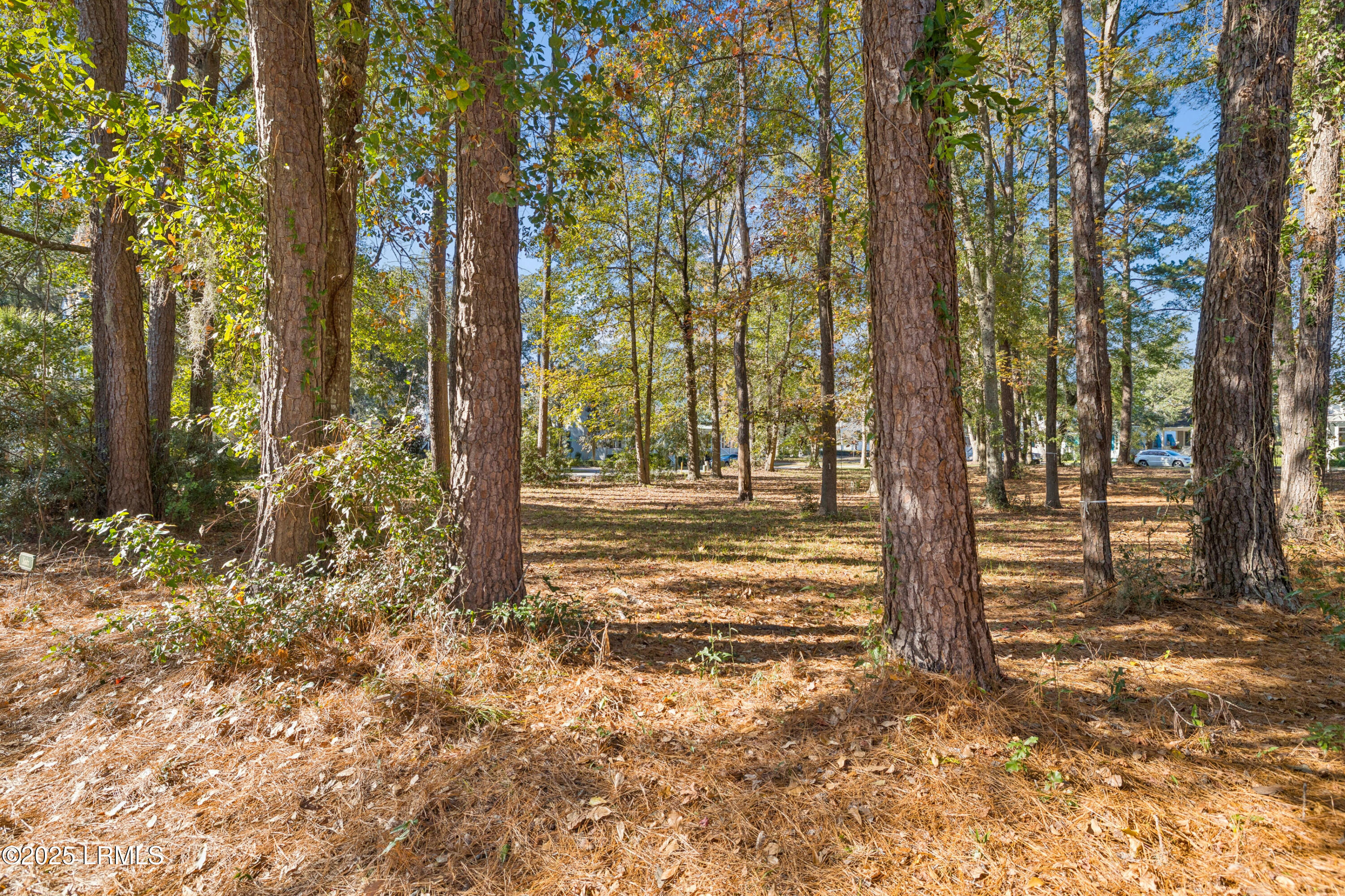 7 North Loudon Beaufort, SC 29906 - Photo 6 of 40 7NLoudenLot-IslandHouseMedia-0003