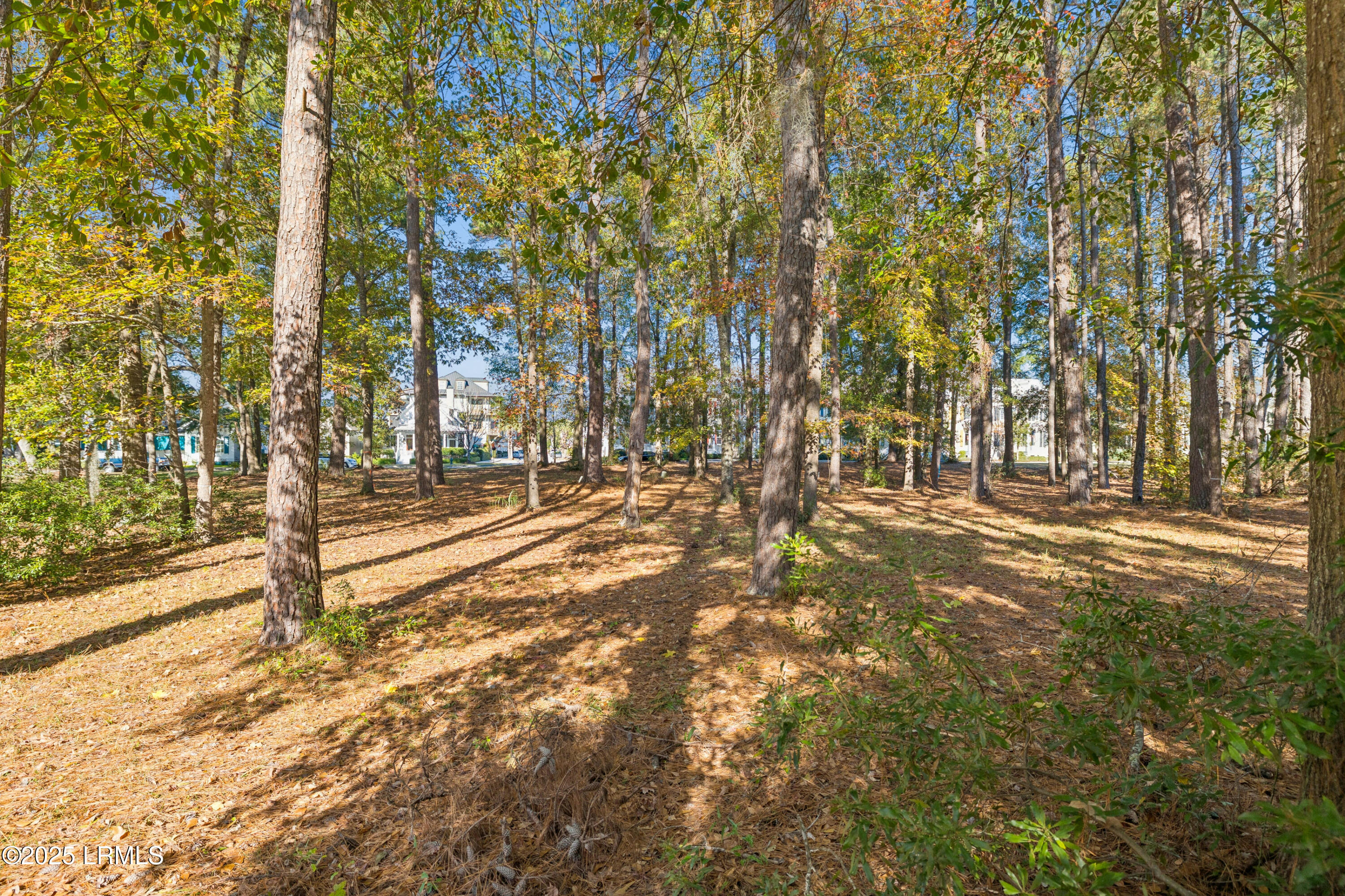 7 North Loudon Beaufort, SC 29906 - Photo 7 of 40 7NLoudenLot-IslandHouseMedia-0004