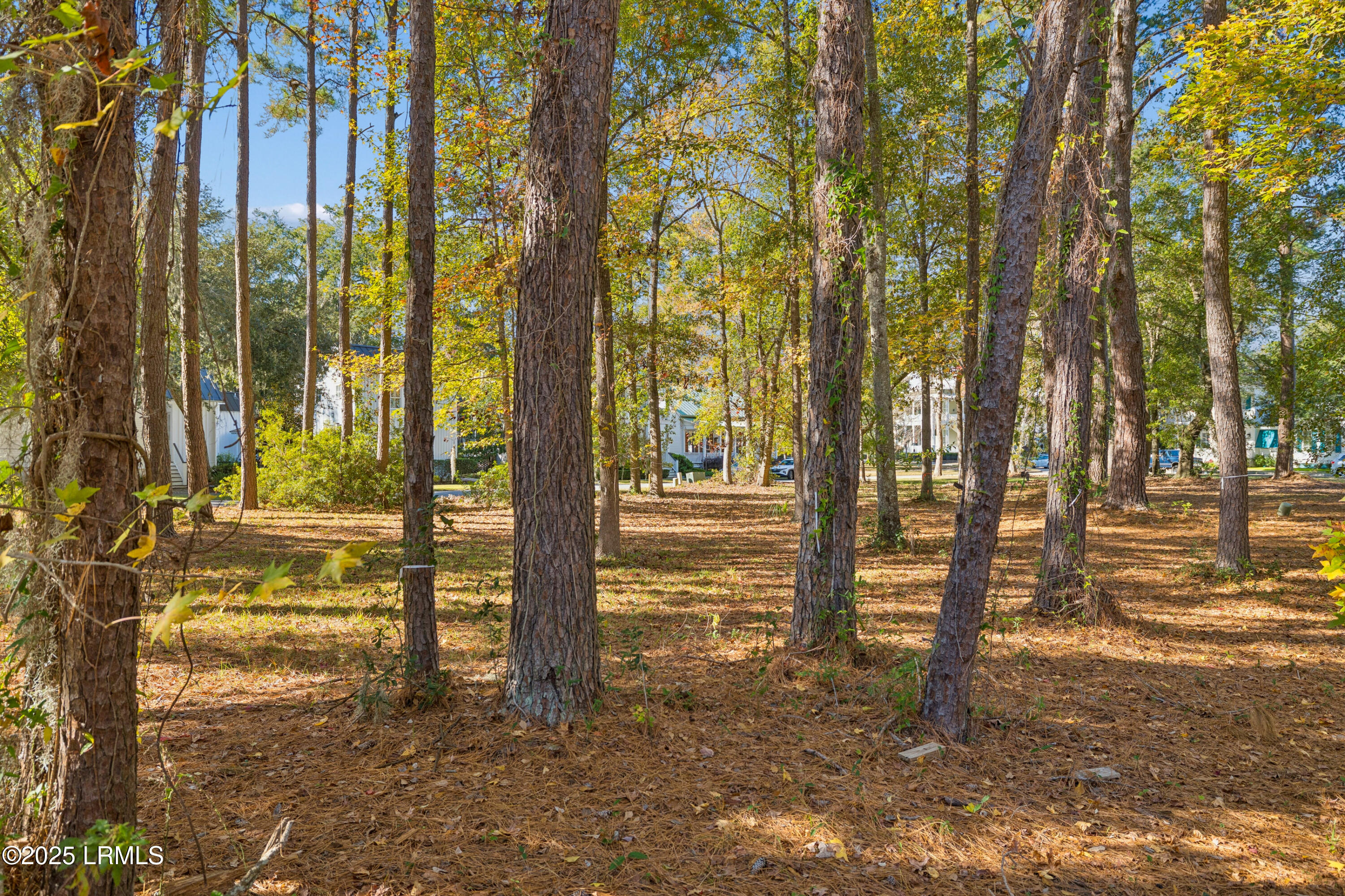 7 North Loudon Beaufort, SC 29906 - Photo 8 of 40 7NLoudenLot-IslandHouseMedia-0005