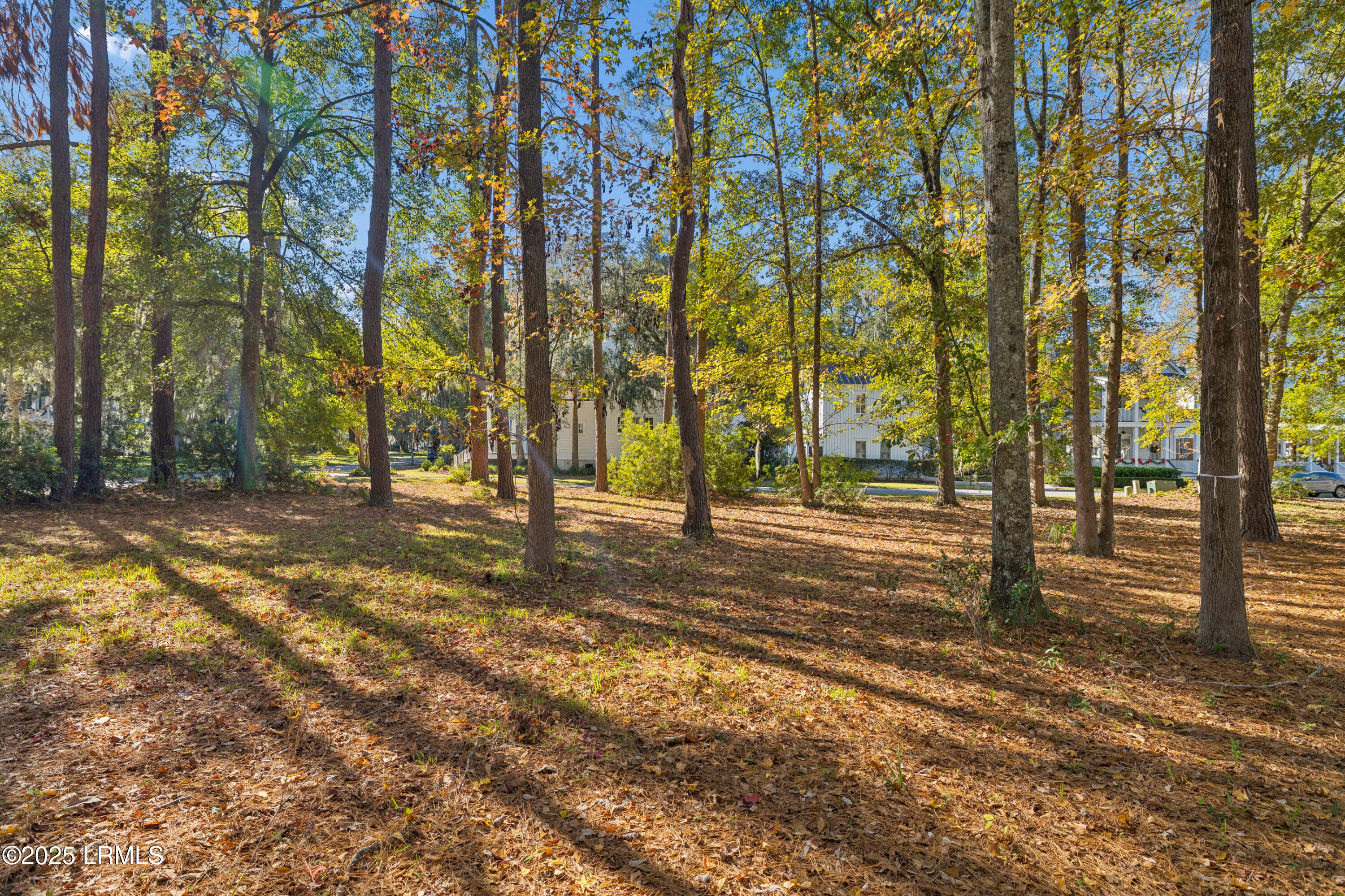 7 North Loudon Beaufort, SC 29906 - Photo 9 of 40 7NLoudenLot-IslandHouseMedia-0006