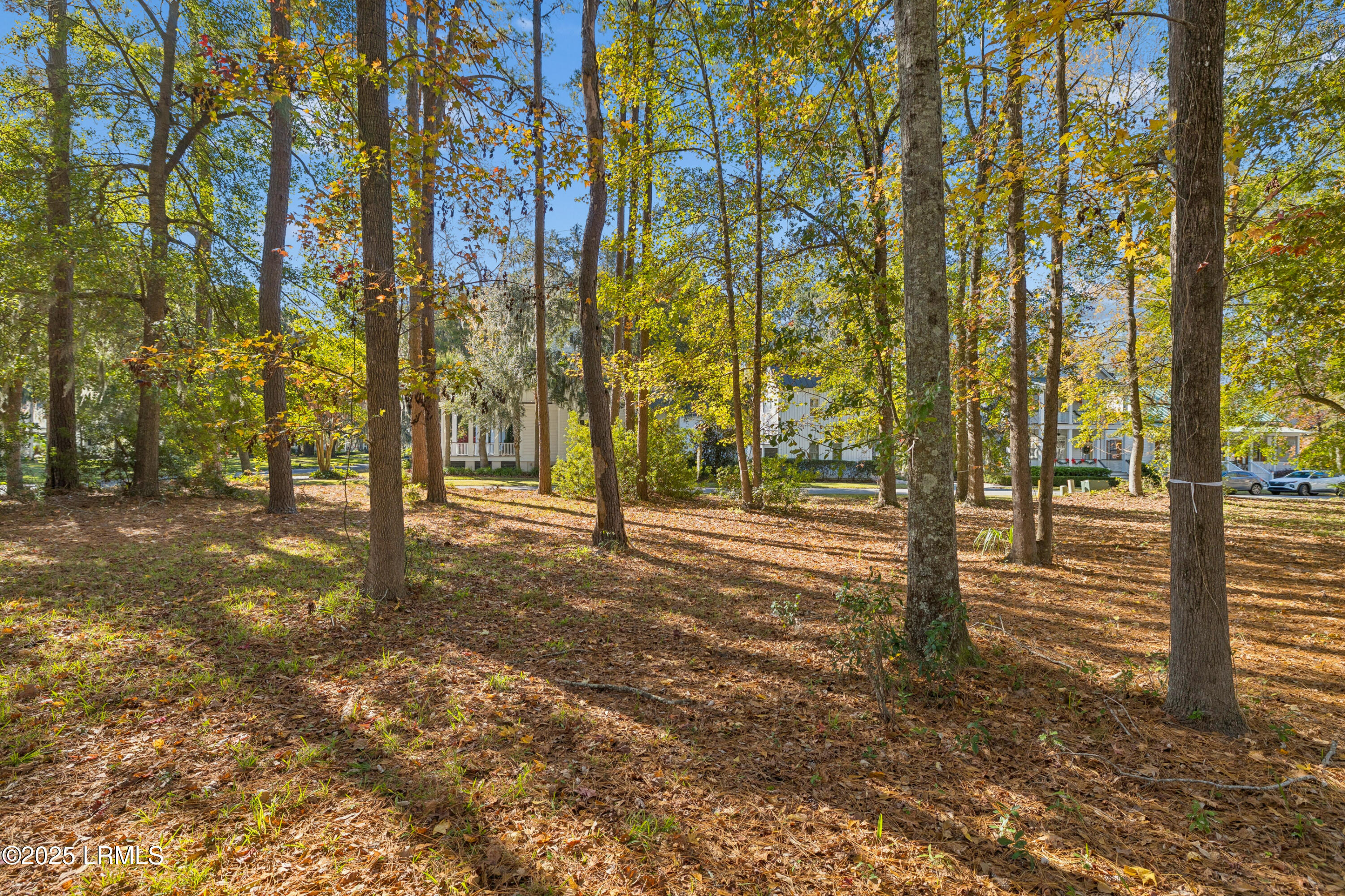 7 North Loudon Beaufort, SC 29906 - Photo 10 of 40 7NLoudenLot-IslandHouseMedia-0007