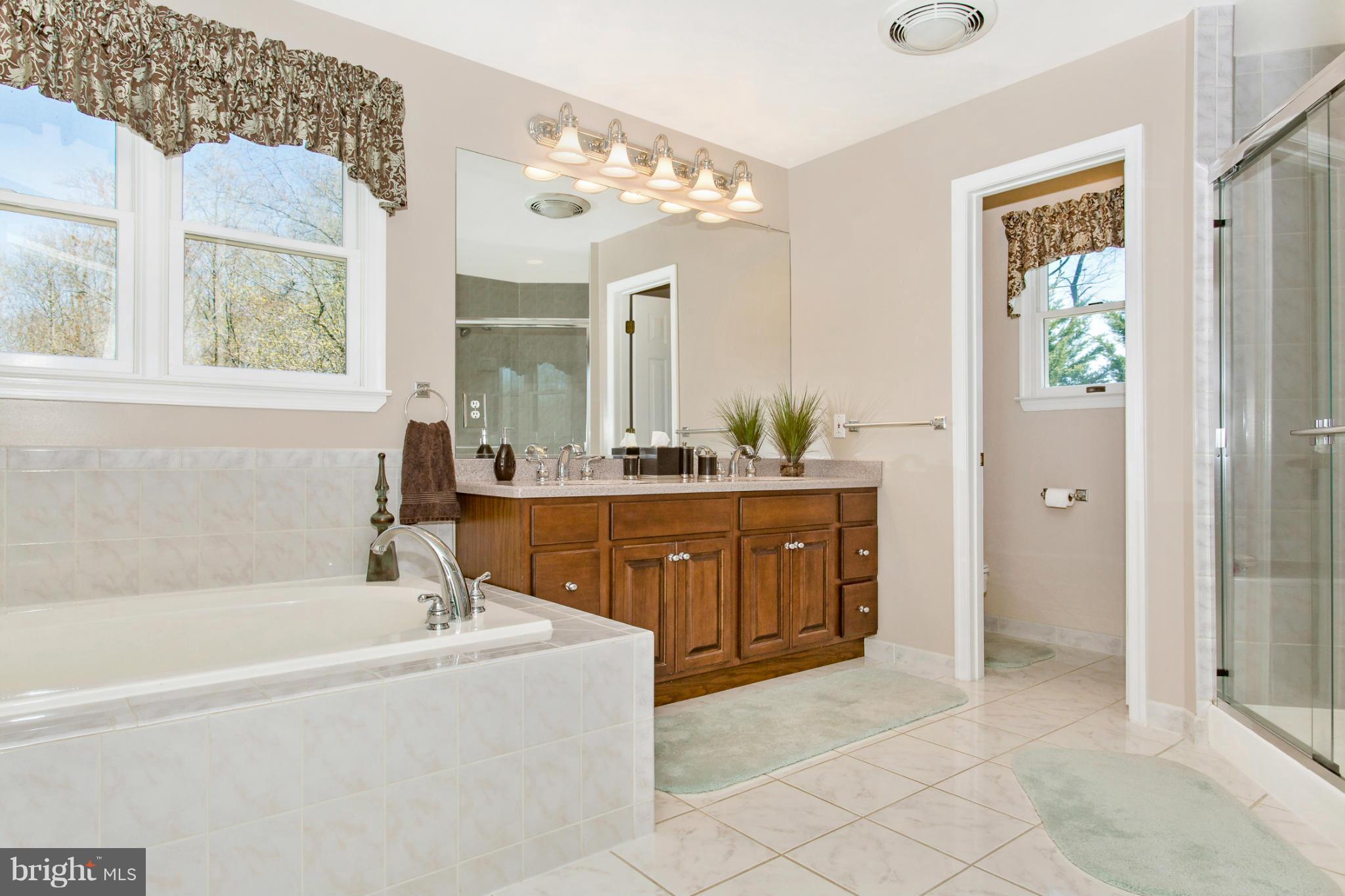 14754 Shirley Bohn Road Mount Airy, MD 21771 - Photo 23 of 30 Bath (Master)