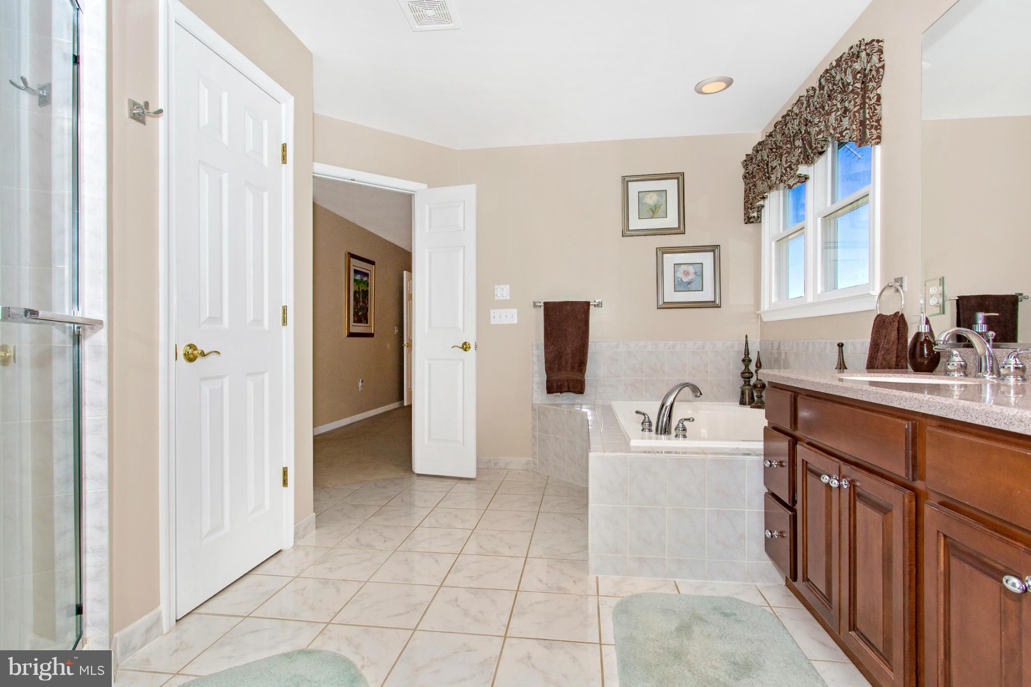 14754 Shirley Bohn Road Mount Airy, MD 21771 - Photo 24 of 30 Bath (Master)