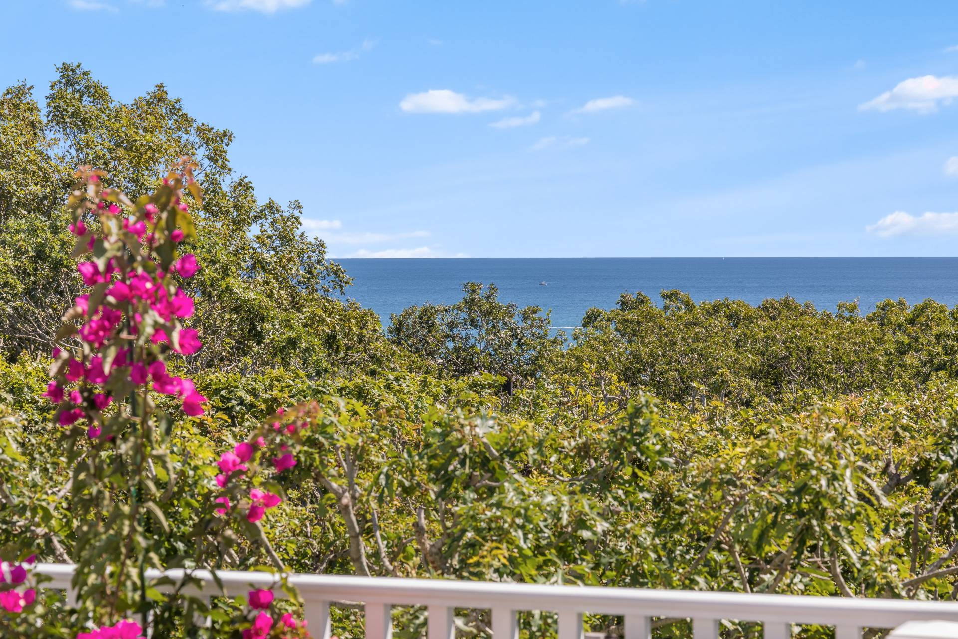 21 Tara Road Montauk, NY 11954 - Photo 12 of 37 a picture of flowers