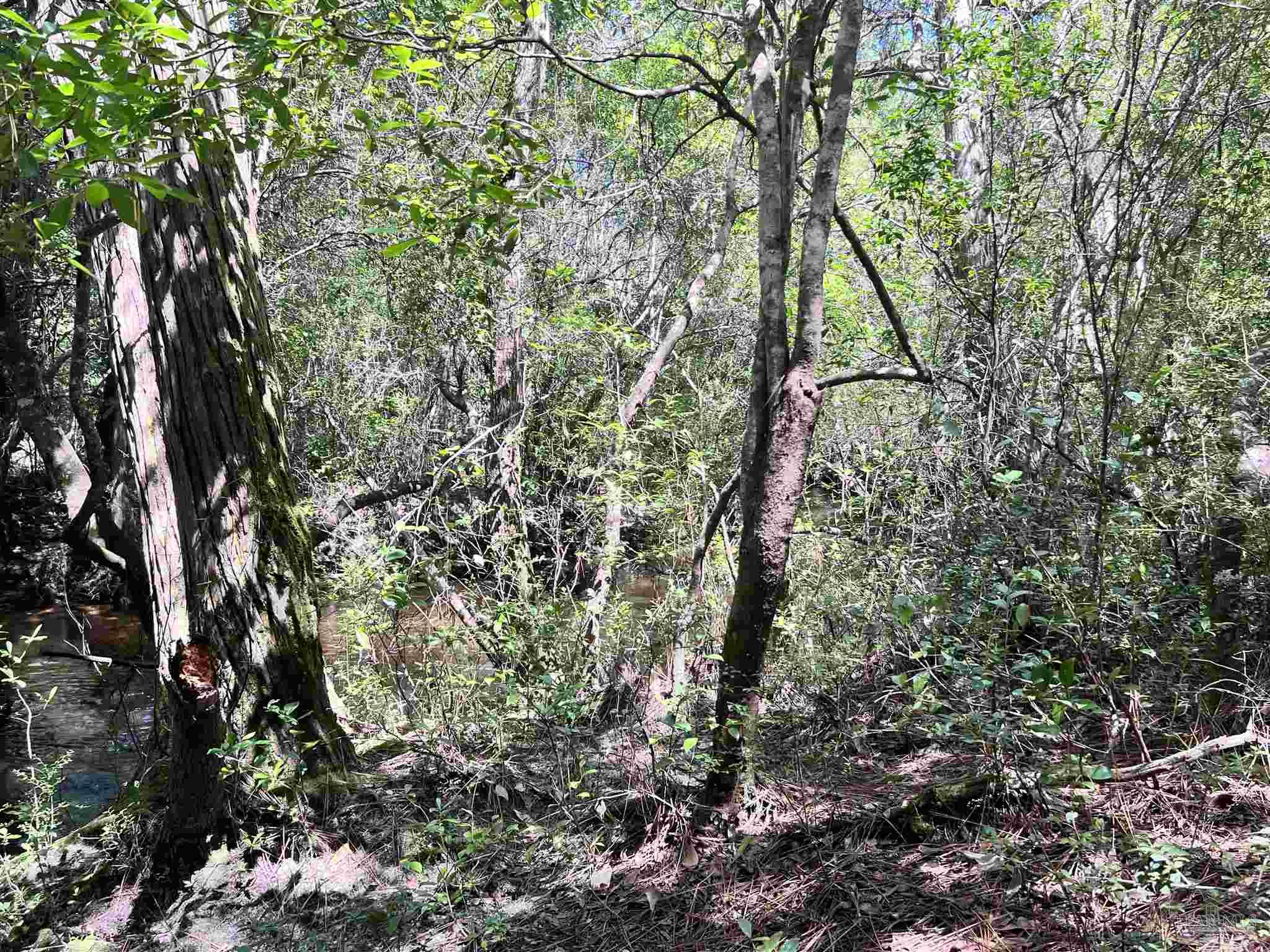 0 Hamilton Bridge Road Milton, FL 32570 - Photo 11 of 43