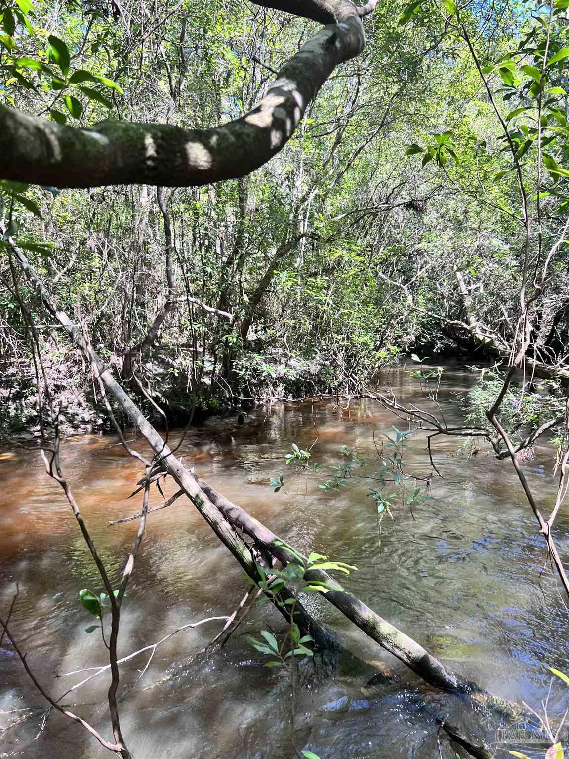 0 Hamilton Bridge Road Milton, FL 32570 - Photo 12 of 43