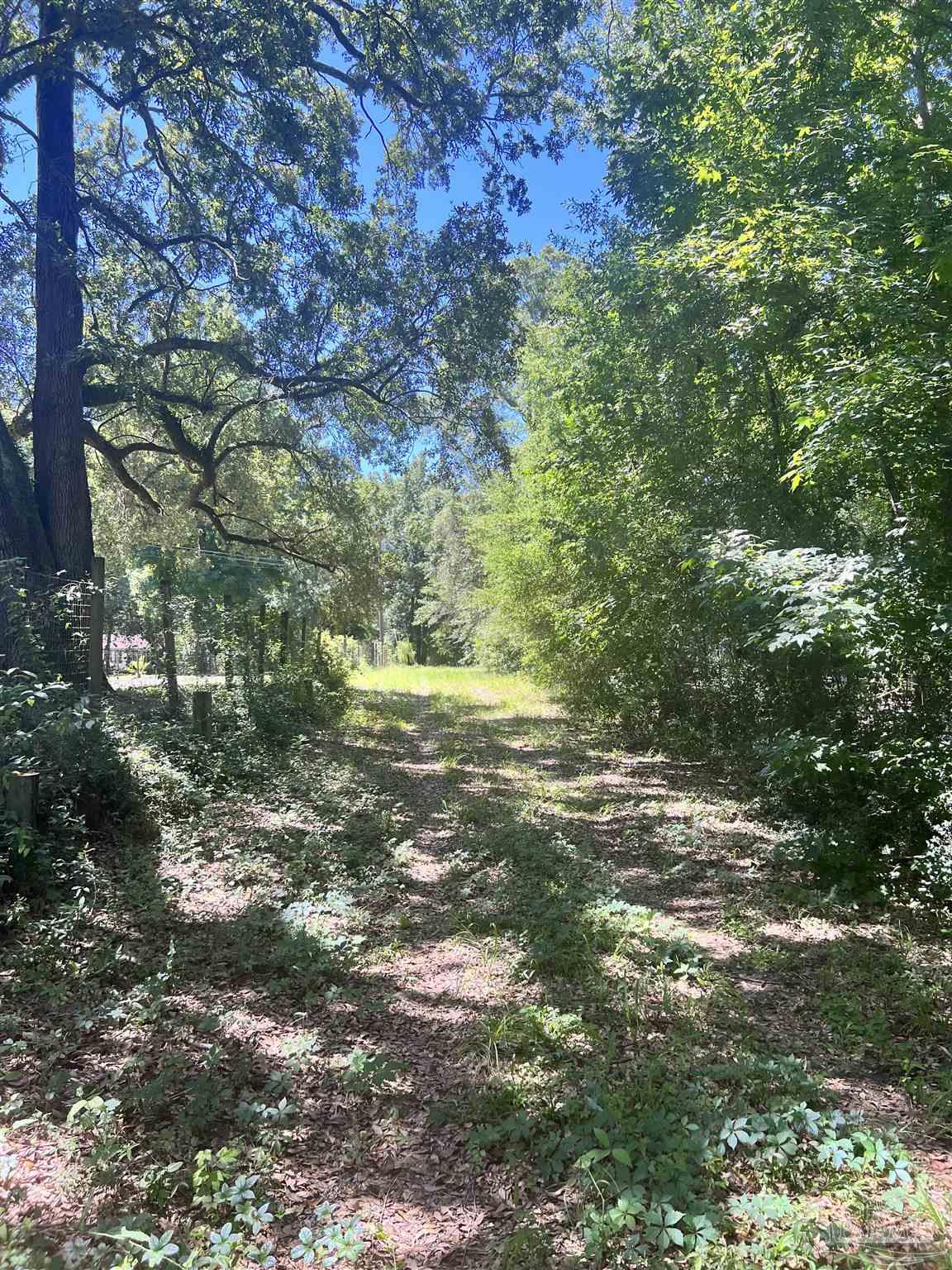 0 Hamilton Bridge Road Milton, FL 32570 - Photo 15 of 43