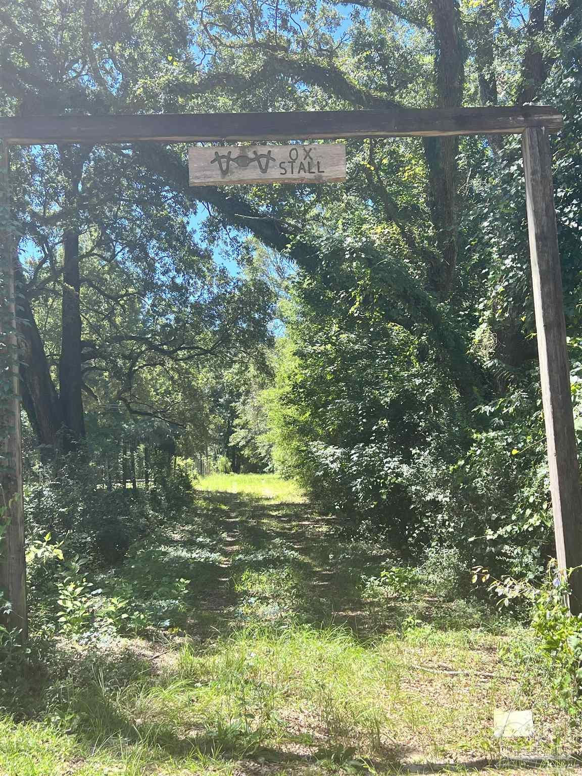 0 Hamilton Bridge Road Milton, FL 32570 - Photo 17 of 43