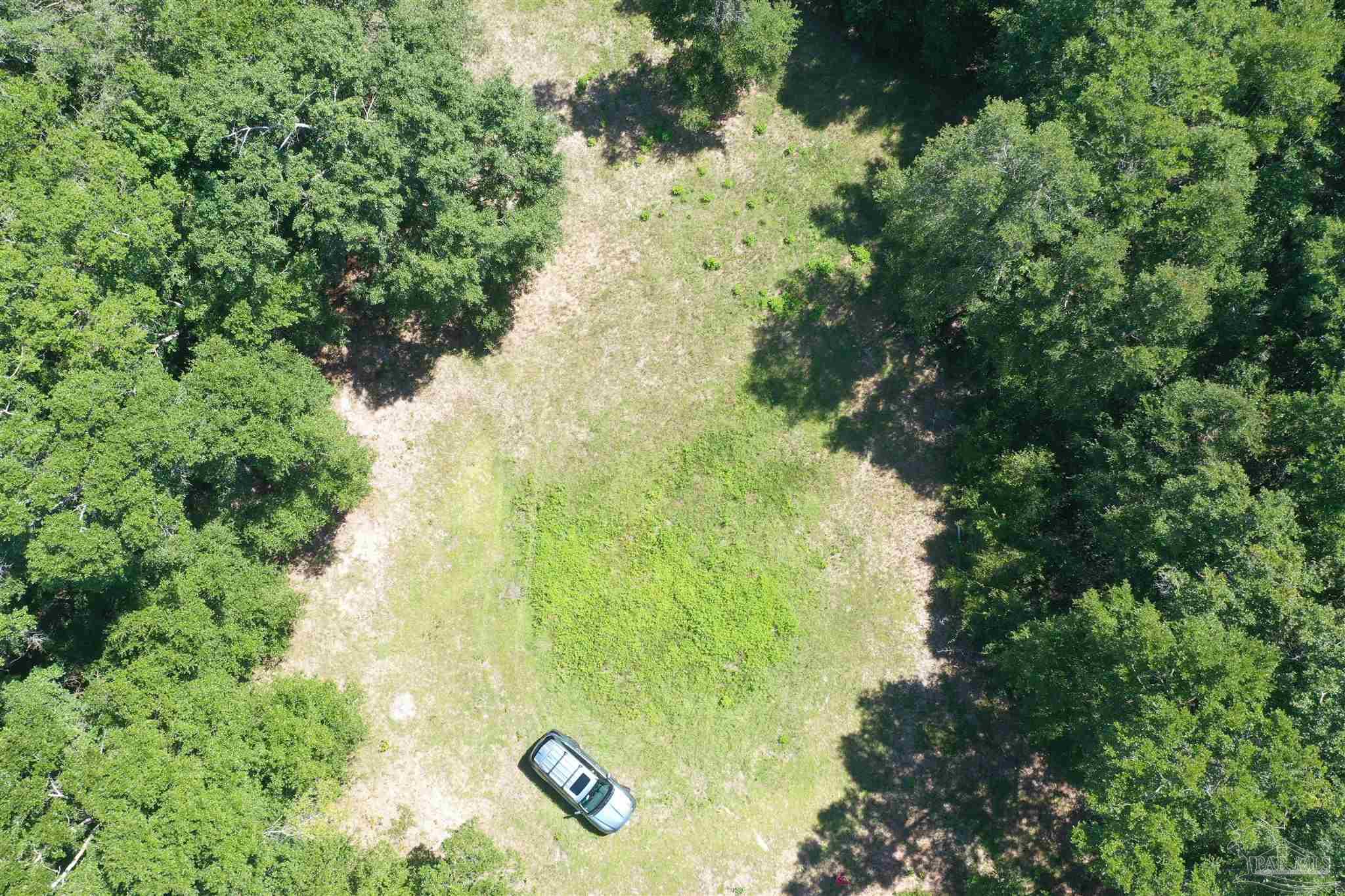 0 Hamilton Bridge Road Milton, FL 32570 - Photo 18 of 43