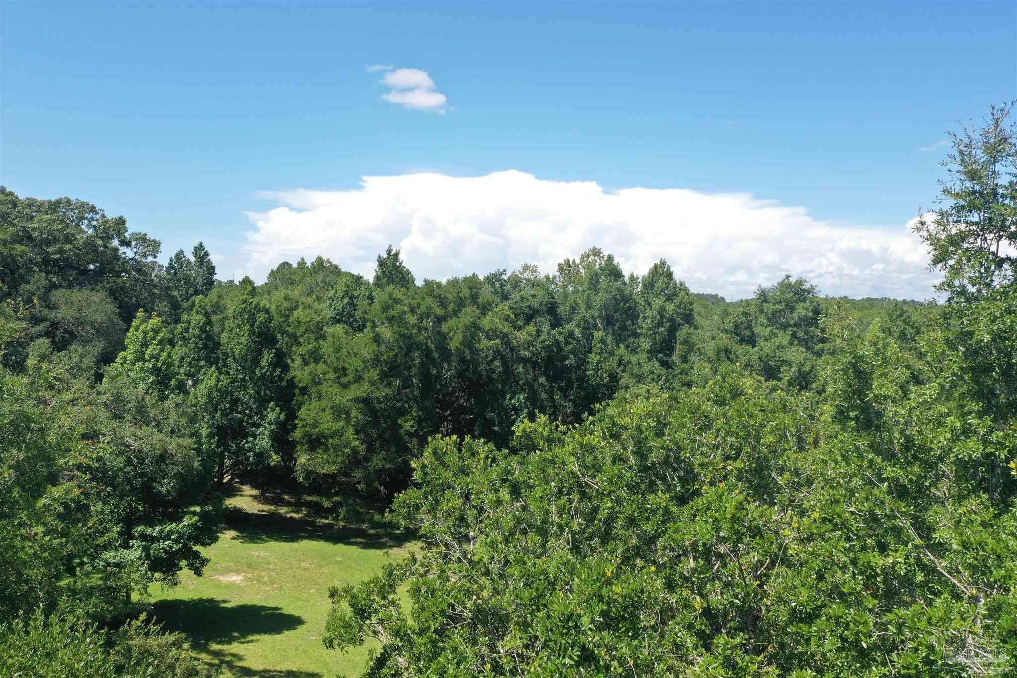 0 Hamilton Bridge Road Milton, FL 32570 - Photo 19 of 43