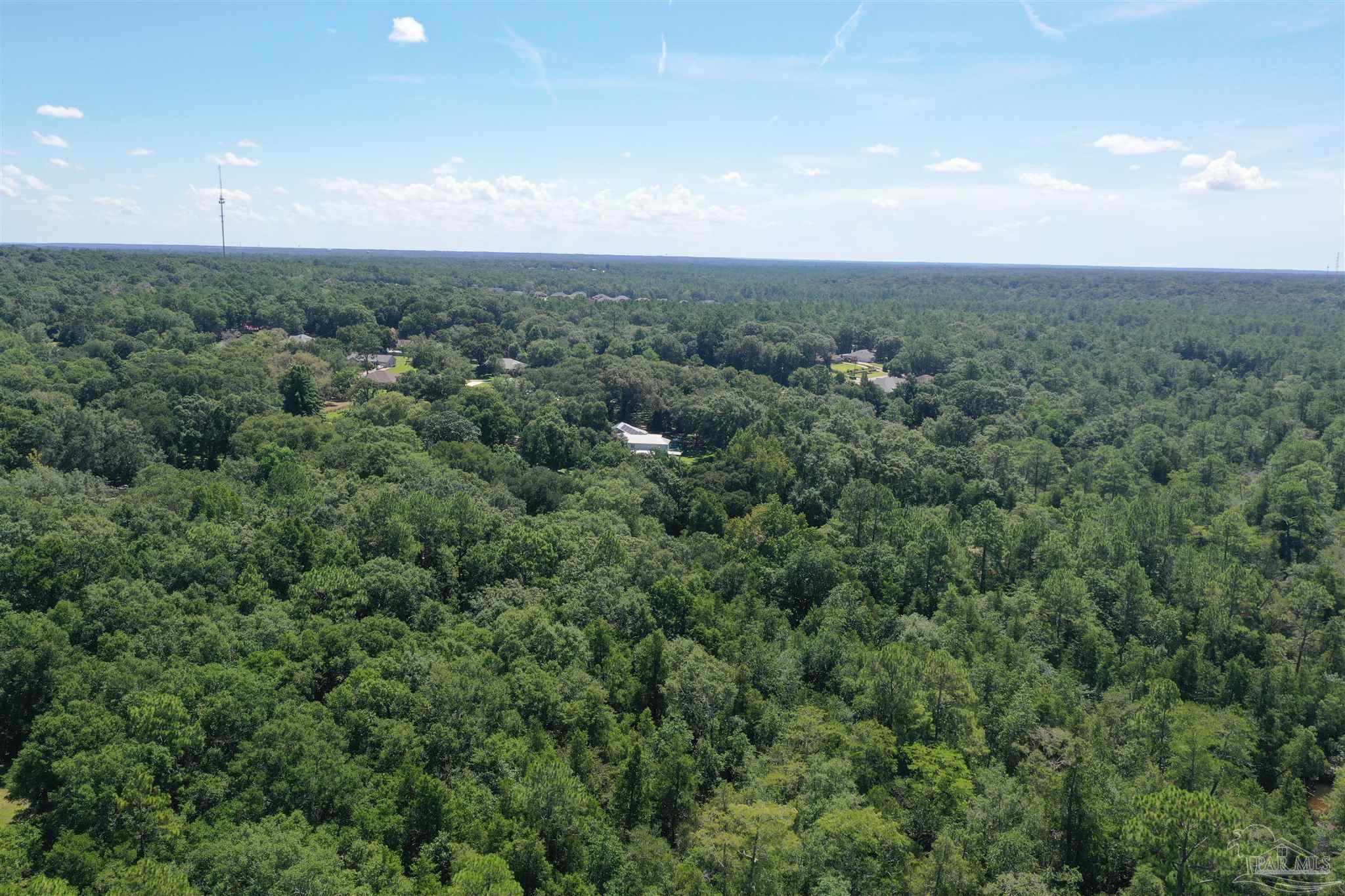 0 Hamilton Bridge Road Milton, FL 32570 - Photo 20 of 43