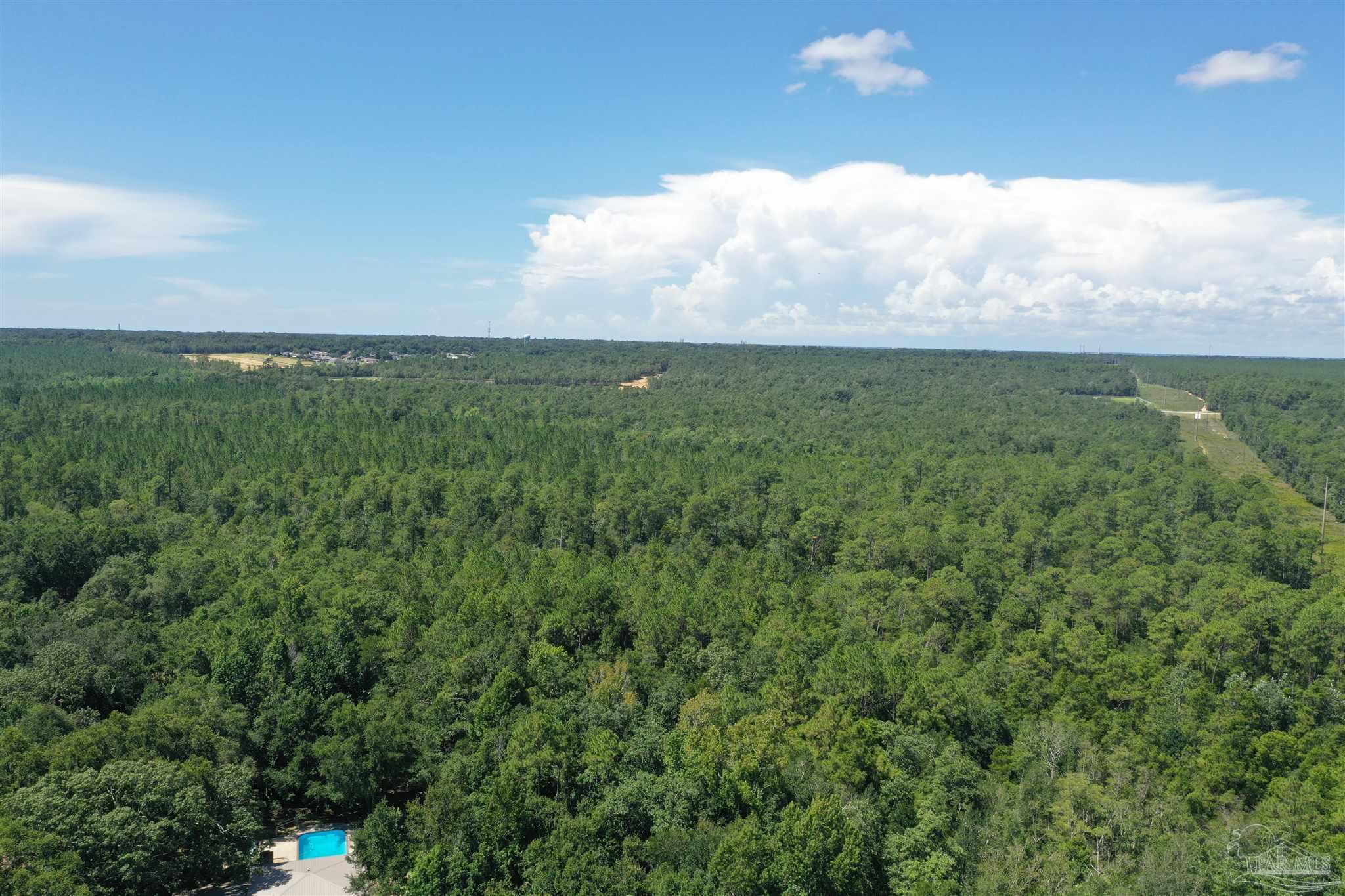 0 Hamilton Bridge Road Milton, FL 32570 - Photo 23 of 43