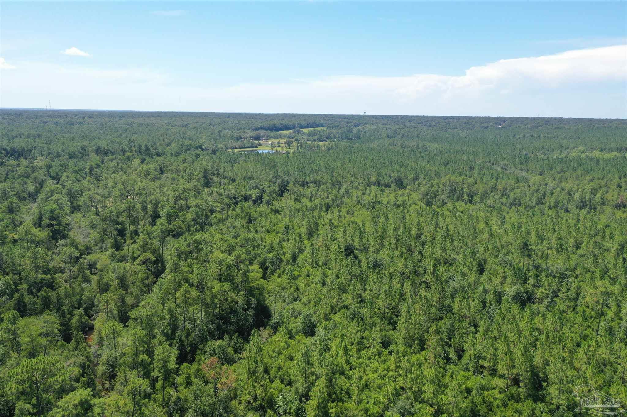 0 Hamilton Bridge Road Milton, FL 32570 - Photo 24 of 43