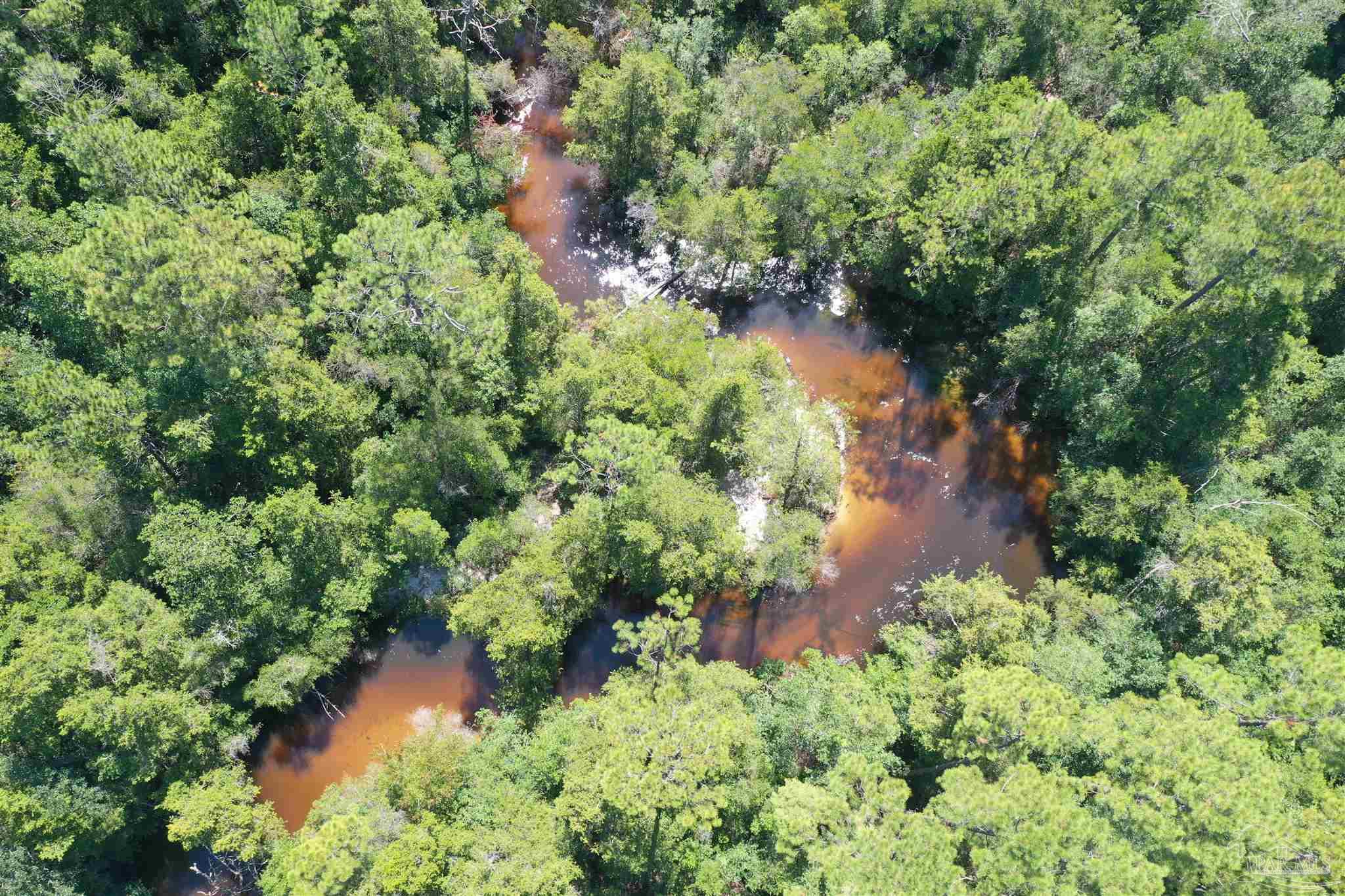 0 Hamilton Bridge Road Milton, FL 32570 - Photo 25 of 43