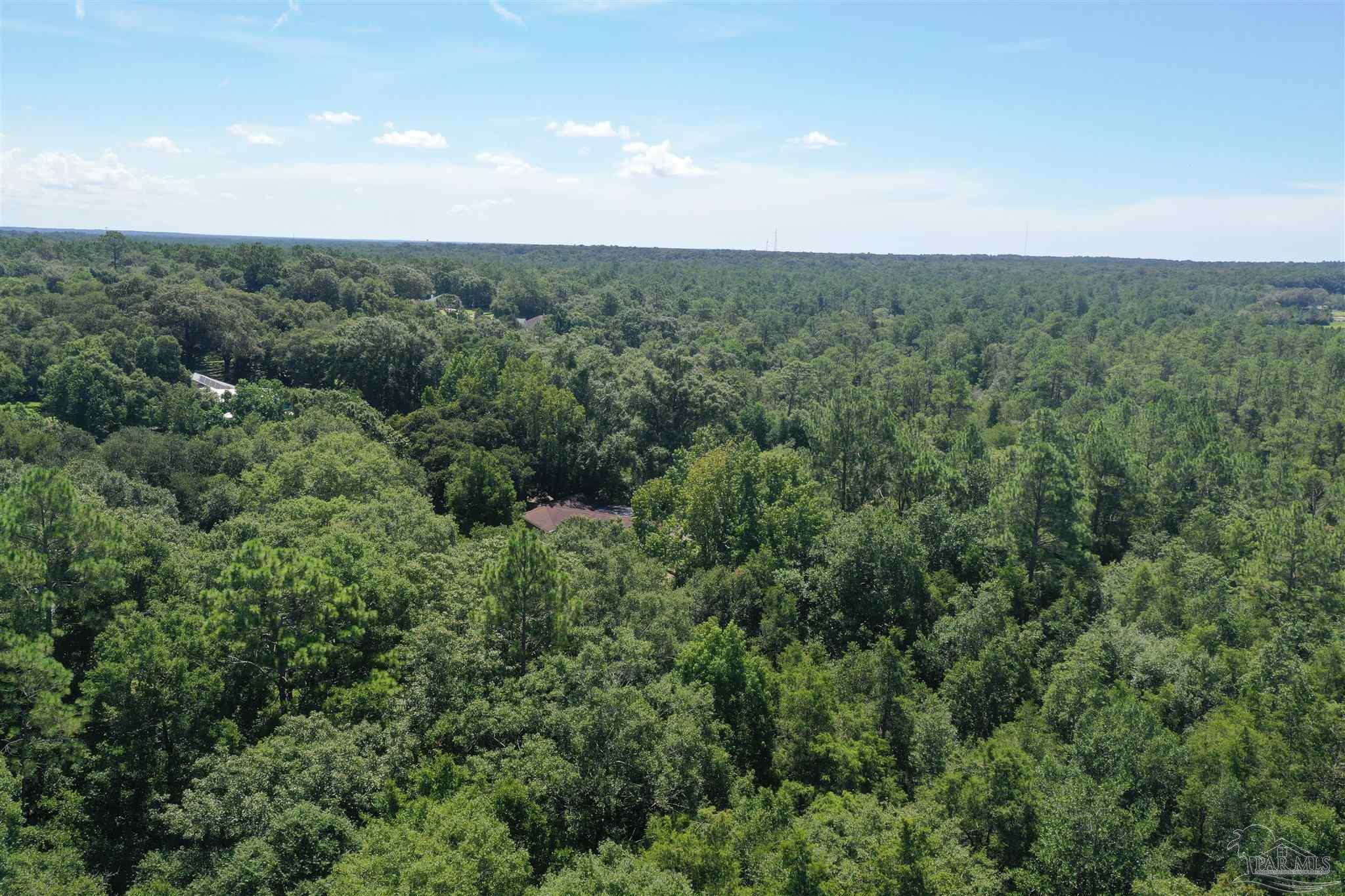 0 Hamilton Bridge Road Milton, FL 32570 - Photo 29 of 43
