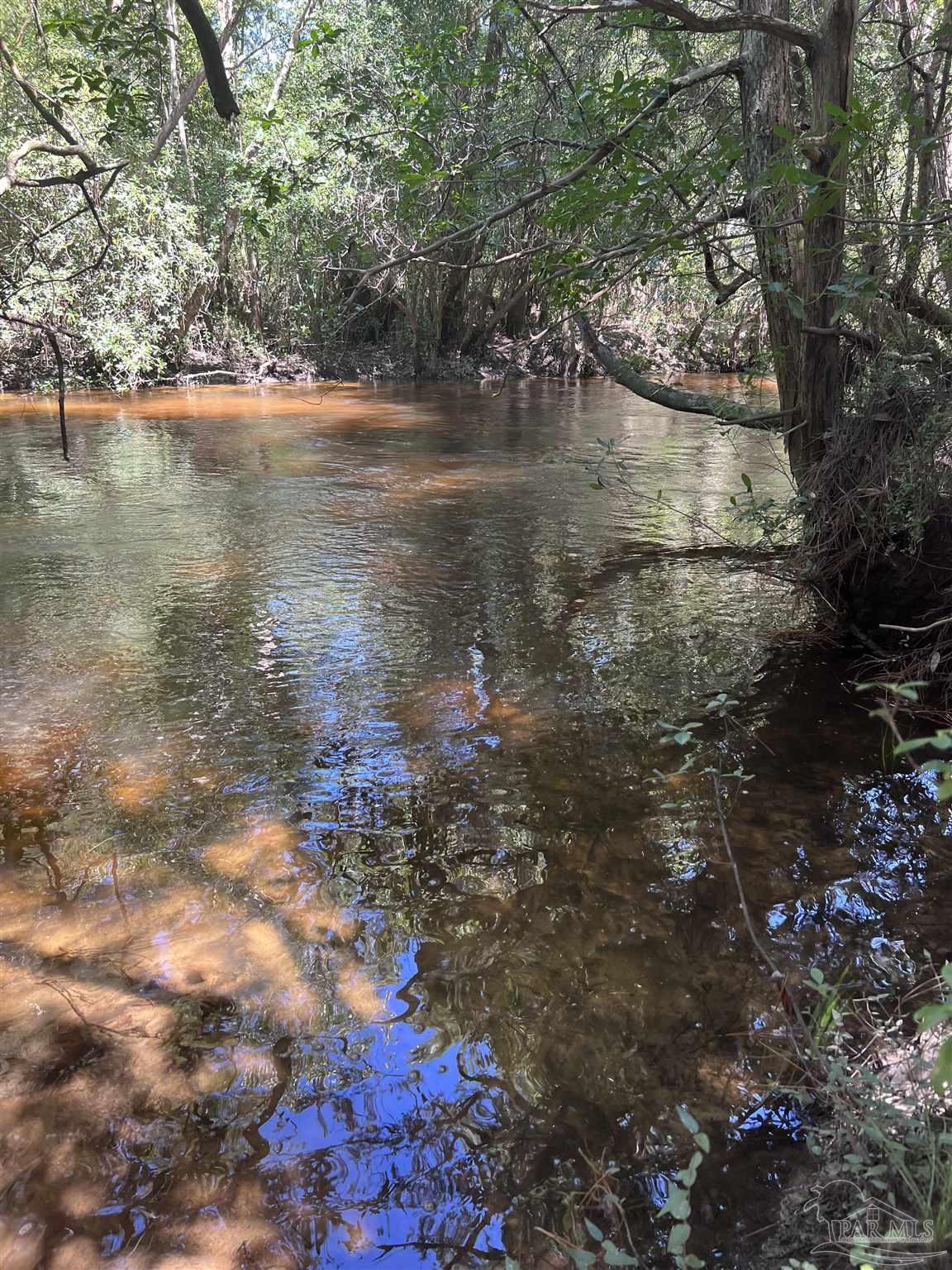 0 Hamilton Bridge Road Milton, FL 32570 - Photo 3 of 43