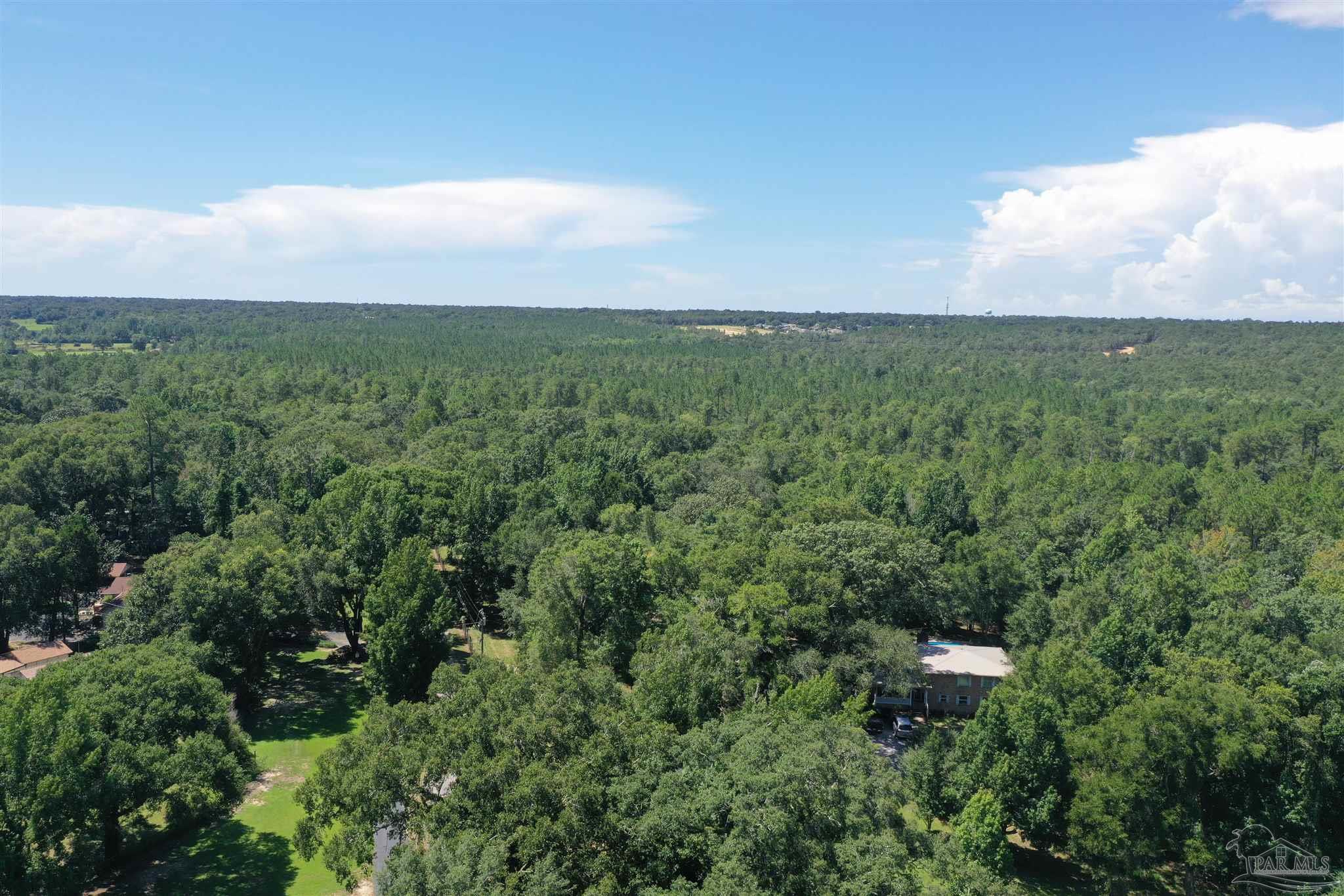 0 Hamilton Bridge Road Milton, FL 32570 - Photo 33 of 43