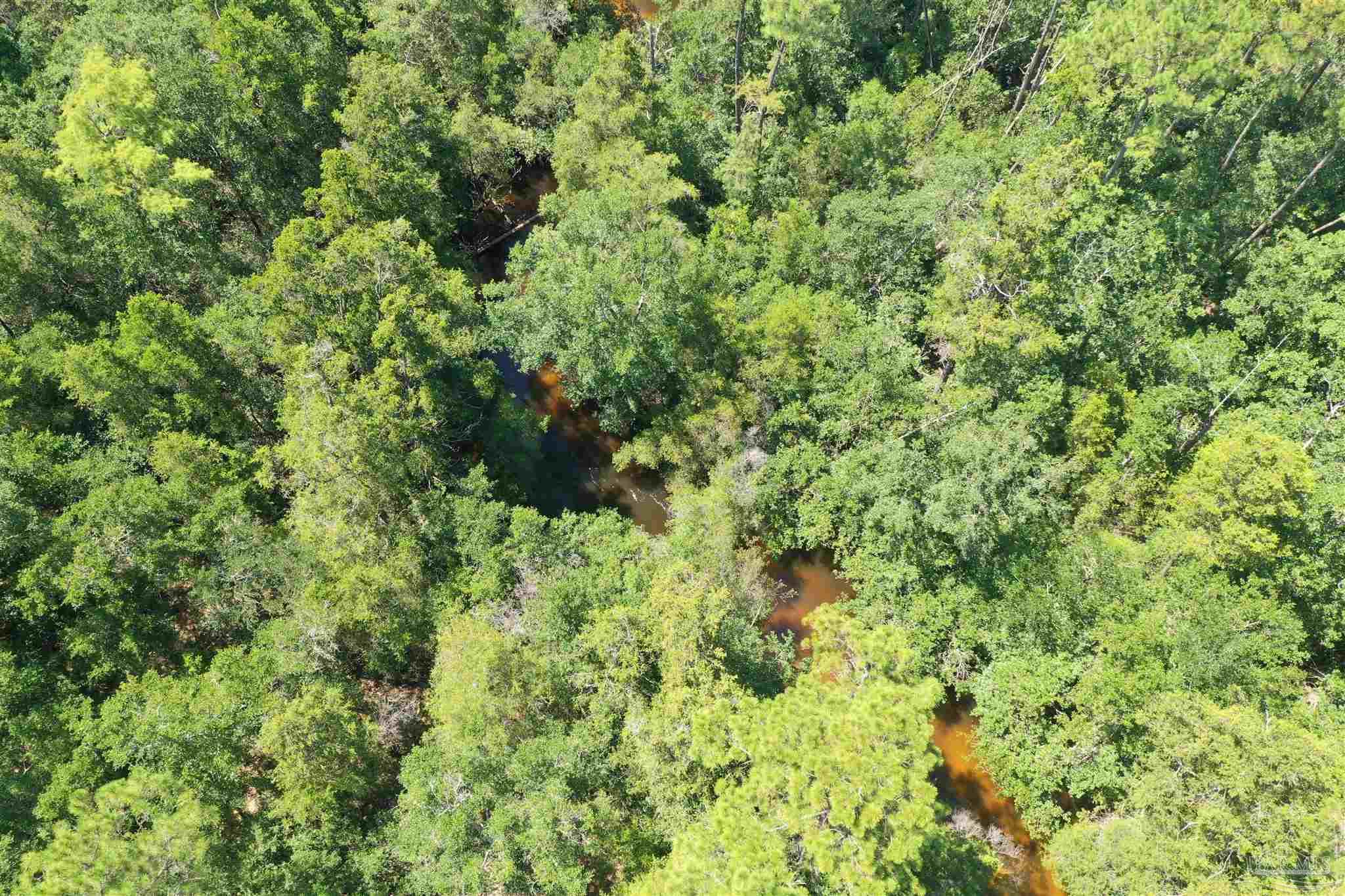 0 Hamilton Bridge Road Milton, FL 32570 - Photo 42 of 43
