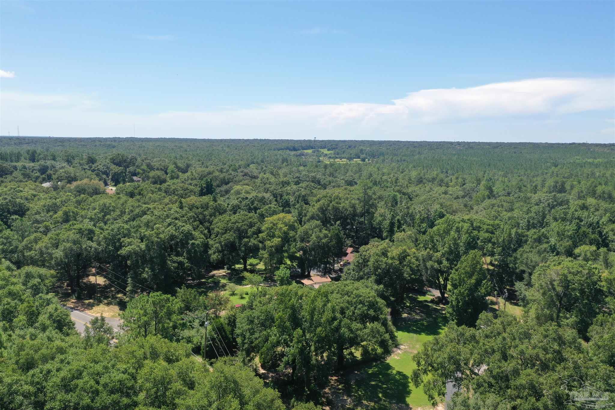 0 Hamilton Bridge Road Milton, FL 32570 - Photo 43 of 43