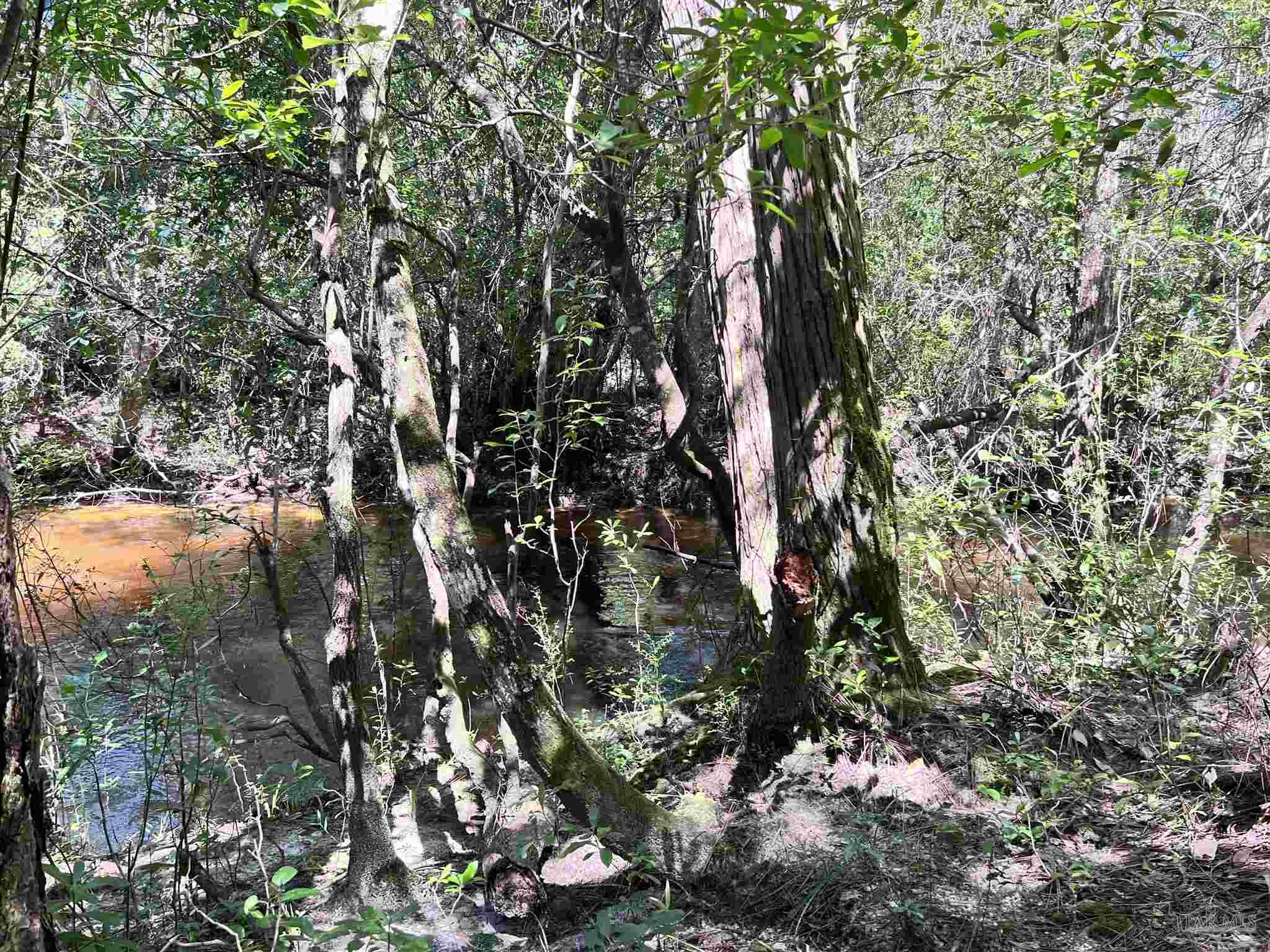0 Hamilton Bridge Road Milton, FL 32570 - Photo 10 of 43