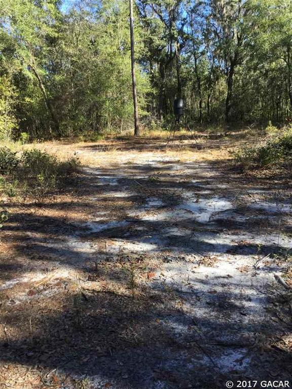0 Southwest Old Bellamy Road Fort White, FL 32038 - Photo 1 of 1 Gallery Image 1