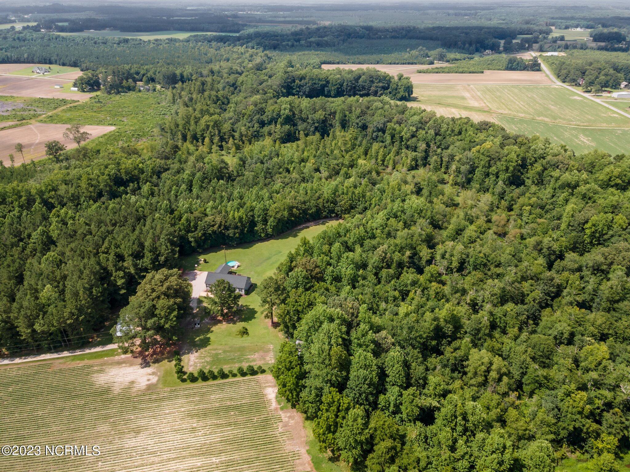 1681 Hugh Coltrain Road Williamston, NC 27892 - Photo 17 of 56 E16D9C03-486B-4177-86D6-6D48D51EC24C