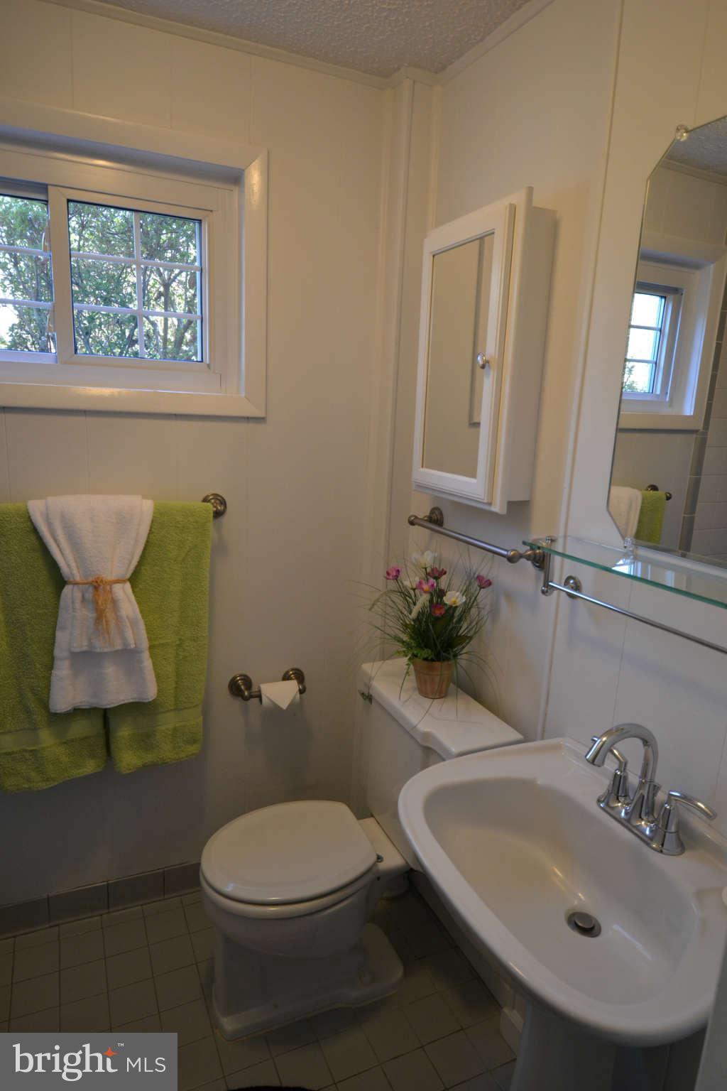 7467 Clifton Road Clifton, VA 20124 - Photo 20 of 30 Third Bathroom on the Lower Level w/ Pedestal Sink