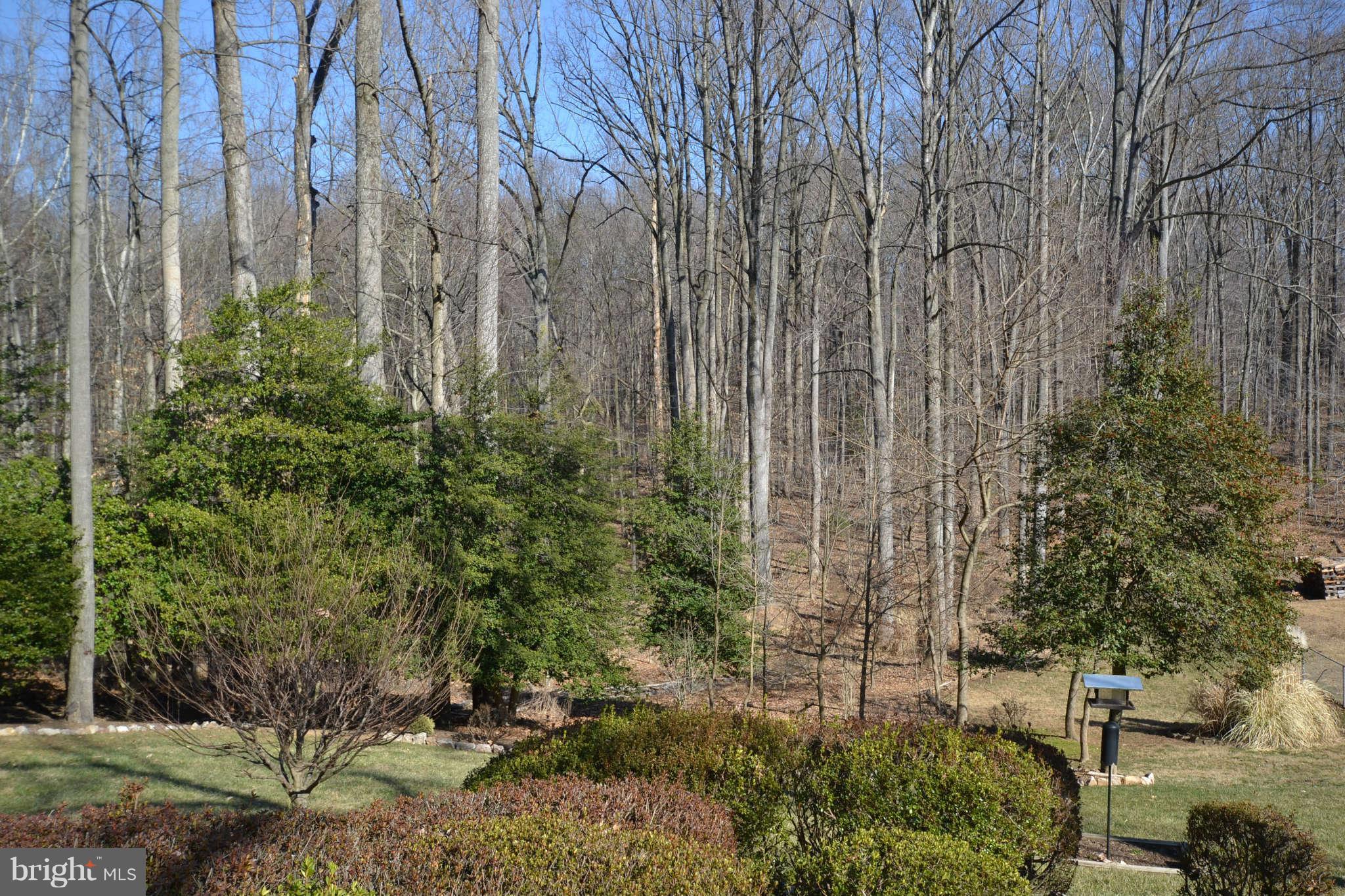 7467 Clifton Road Clifton, VA 20124 - Photo 25 of 30 View of the Lot from the Rear Porch