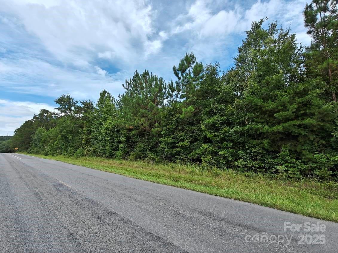 0 Wyatt Grove Church Road Richfield, NC 28137 - Photo 2 of 5 a view of a yard with plants and a trees