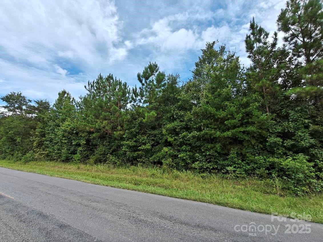 0 Wyatt Grove Church Road Richfield, NC 28137 - Photo 3 of 5 a view of a yard with plants and a trees