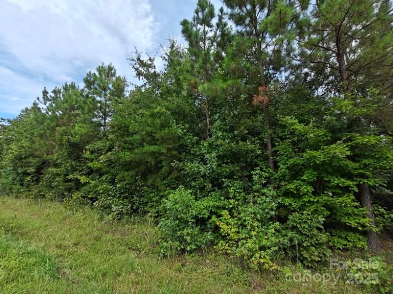 0 Wyatt Grove Church Road Richfield, NC 28137 - Photo 4 of 5 a view of a lush green forest