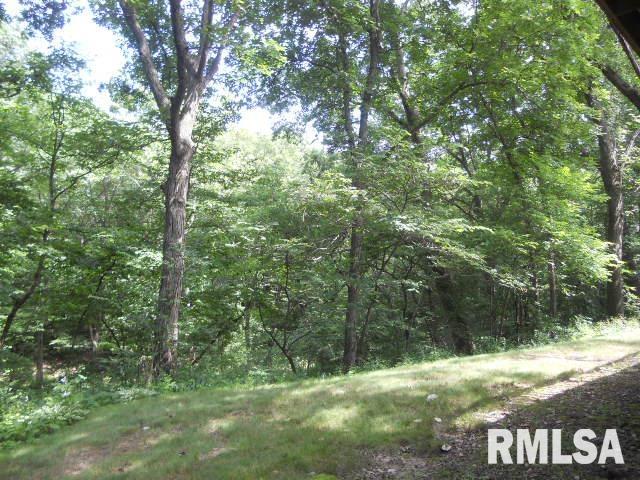 885 North Coal Road Colchester, IL 62326 - Photo 45 of 46 Gallery Image 45