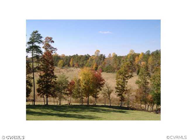 1752 Chinquapin Road Prospect, VA 23960 - Photo 14 of 16 a picture of a yard