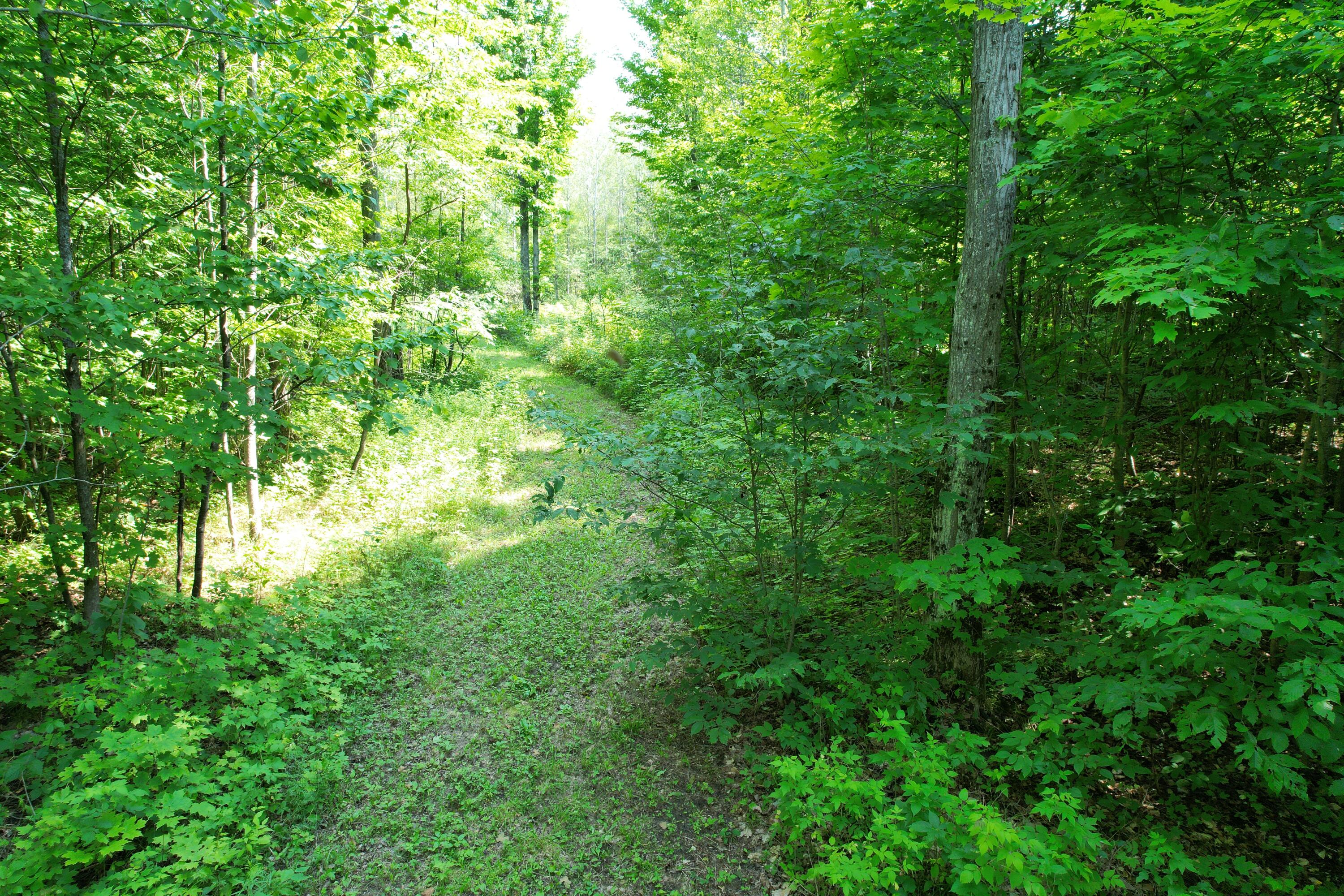 Piper Lane Frederic, MI 49733 - Photo 17 of 25 Gallery Image 17