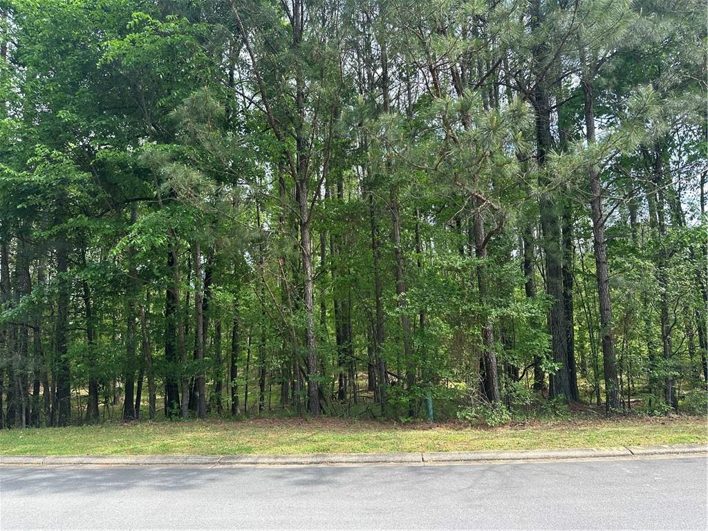 106 Nelson Boulevard Northwest Rome, GA 30165 - Photo 4 of 14 a view of a swimming pool in a yard with large trees