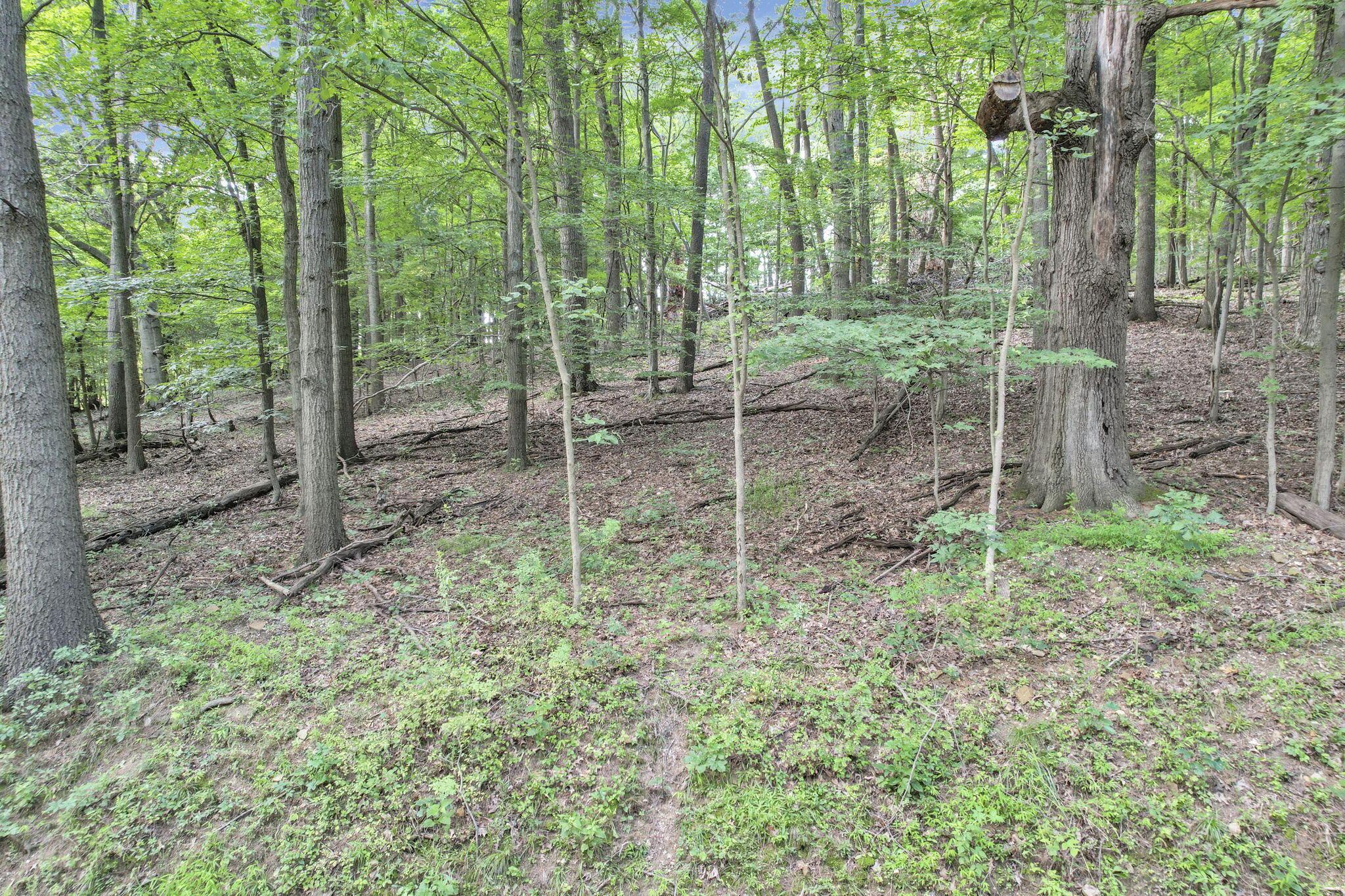 0 Philipps Road Granville, OH 43023 - Photo 16 of 23 1