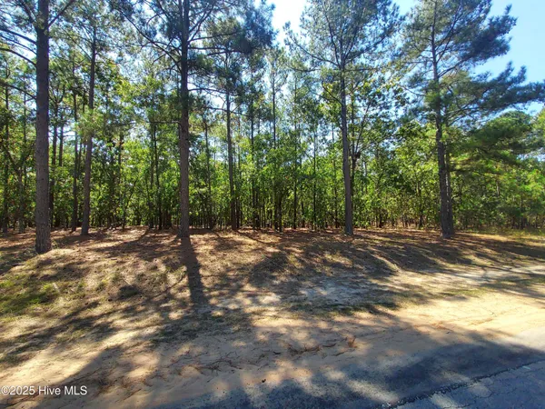 $25,000 | 32 Peach Orchard Road, Wagram, NC 28396