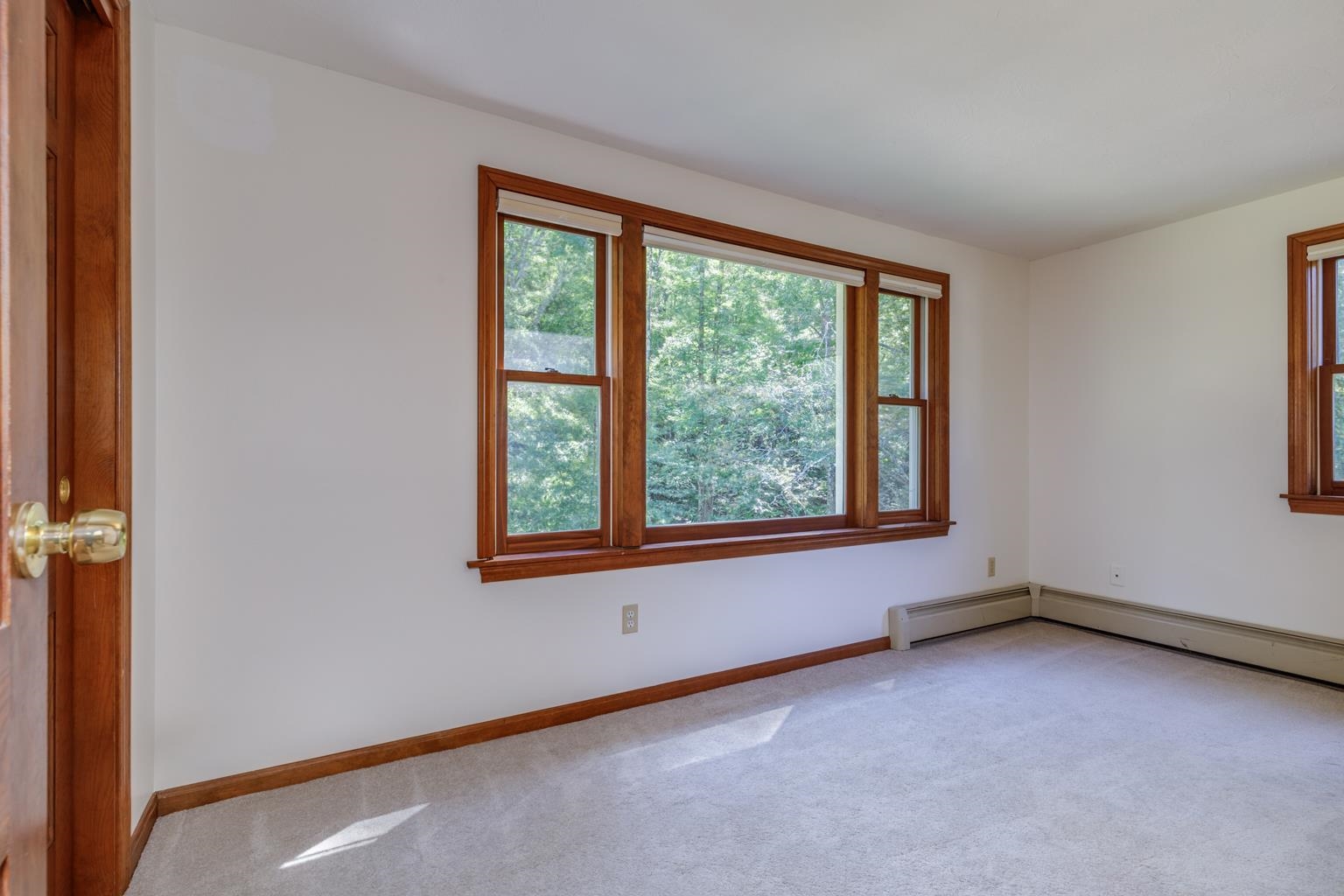 60 Mt Delight Road Deerfield, NH 03037 - Photo 29 of 54 Gallery Image 29