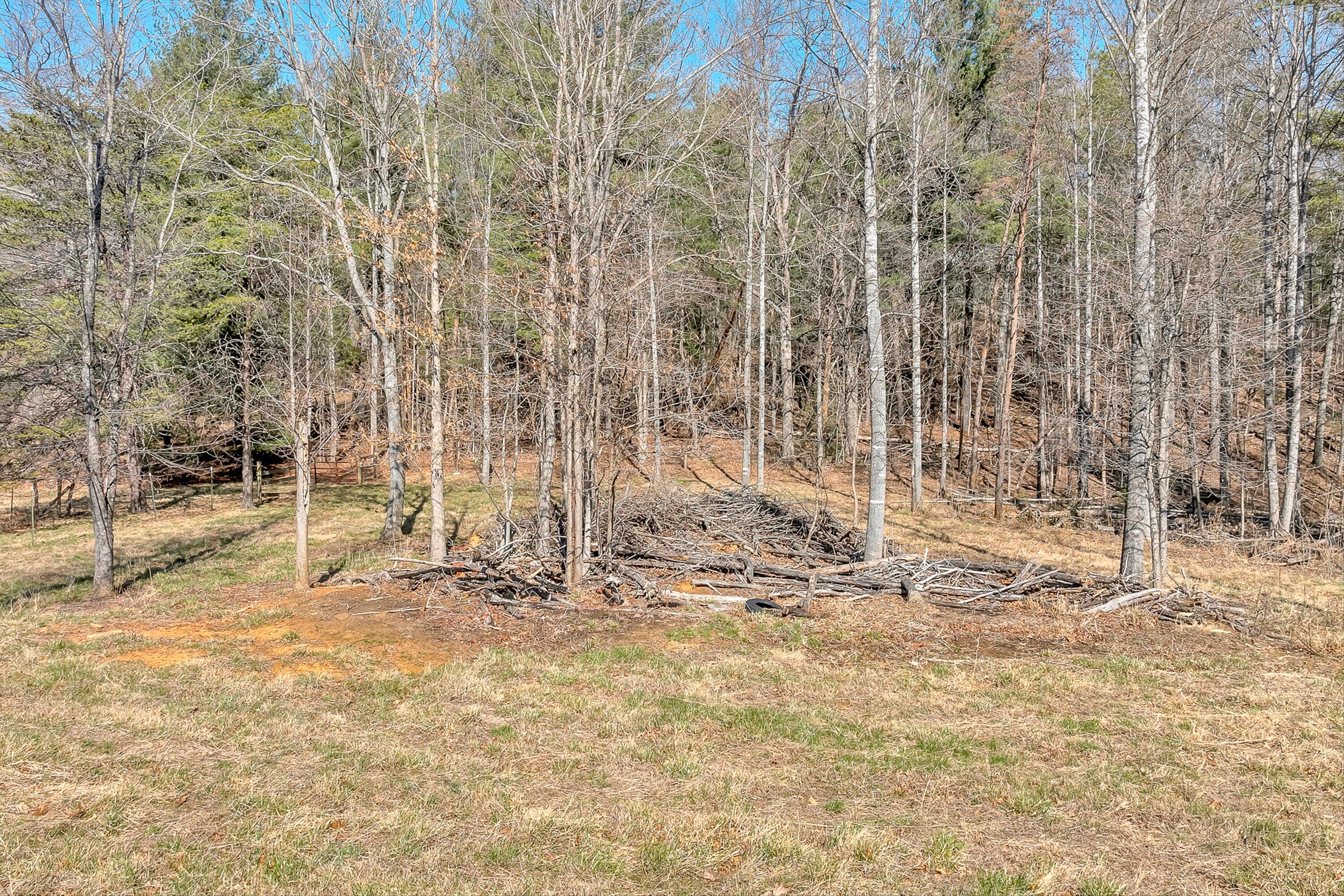 1155 Stonewall Road Blue Ridge, VA 24064 - Photo 28 of 43 a view of under construction area