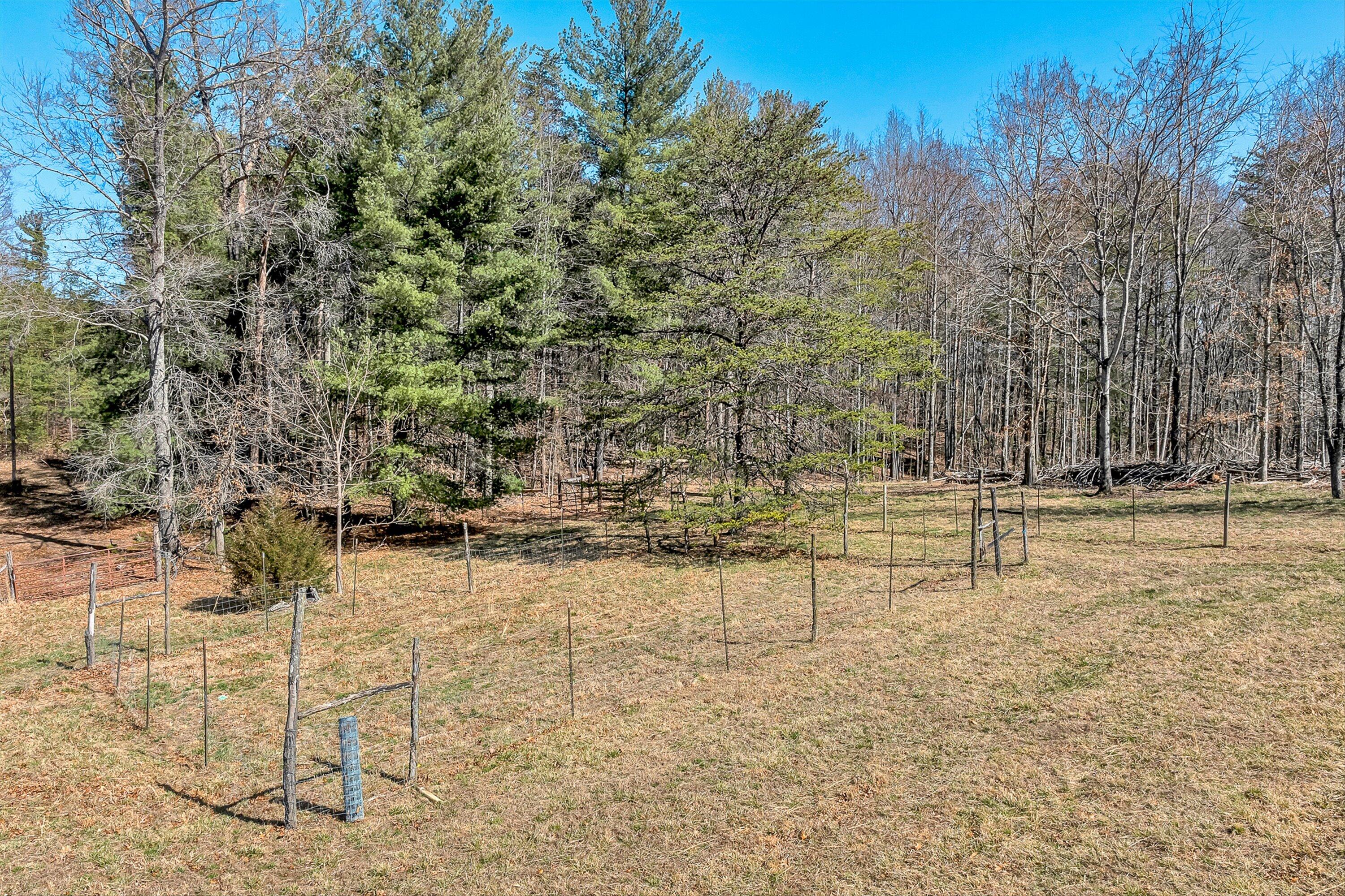 1155 Stonewall Road Blue Ridge, VA 24064 - Photo 33 of 43 a view of yard