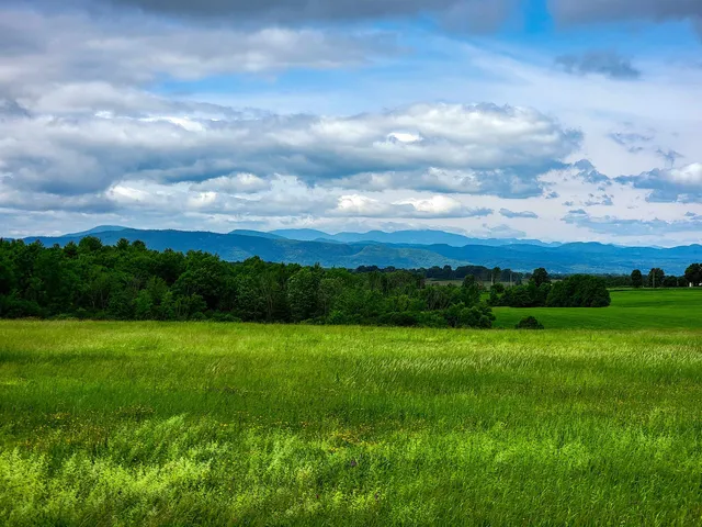 $272,000 | 4376 Highway 22A, Bridport, VT 05734