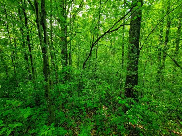 $272,000 | 4376 Highway 22A, Bridport, VT 05734