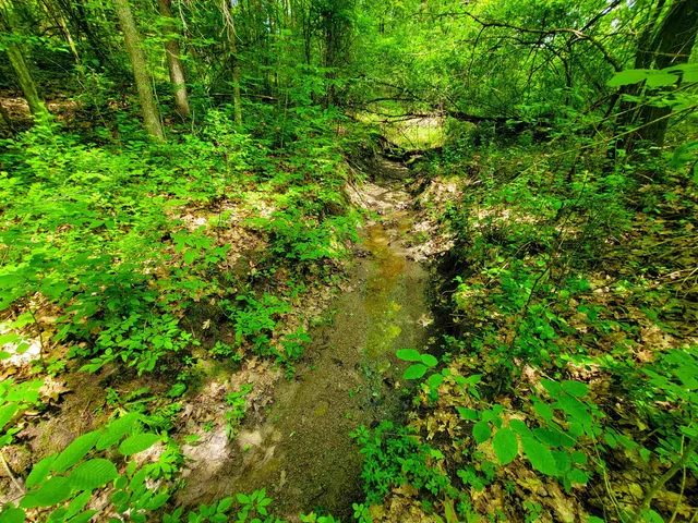 $272,000 | 4376 Highway 22A, Bridport, VT 05734