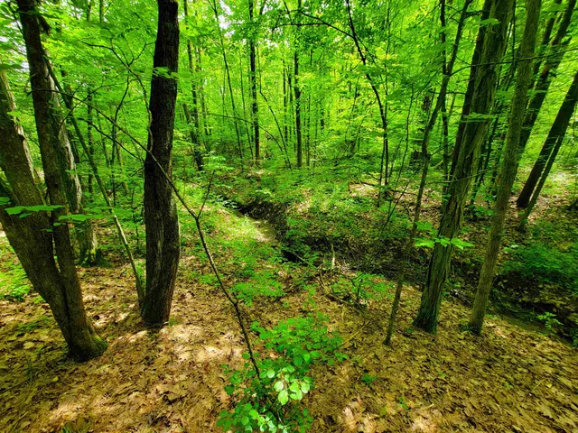 $272,000 | 4376 Highway 22A, Bridport, VT 05734