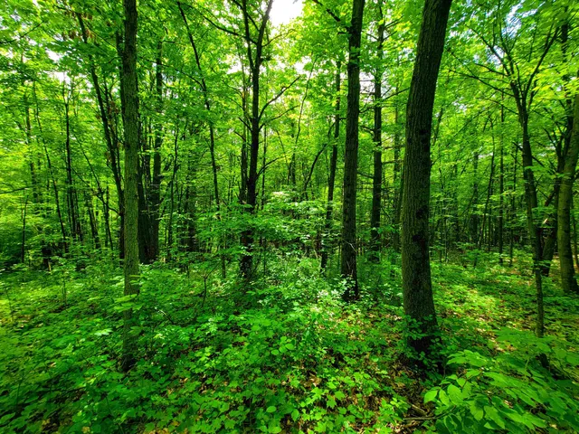 $272,000 | 4376 Highway 22A, Bridport, VT 05734