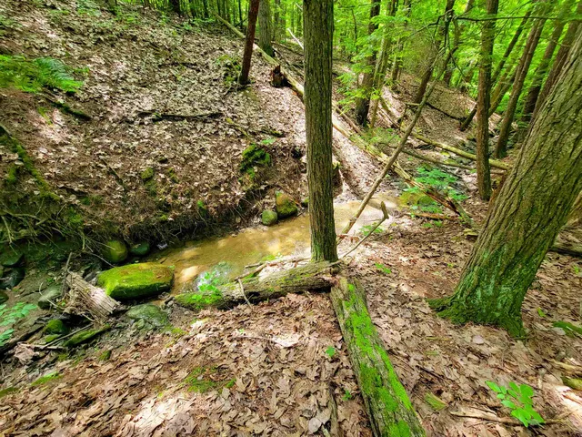 $272,000 | 4376 Highway 22A, Bridport, VT 05734