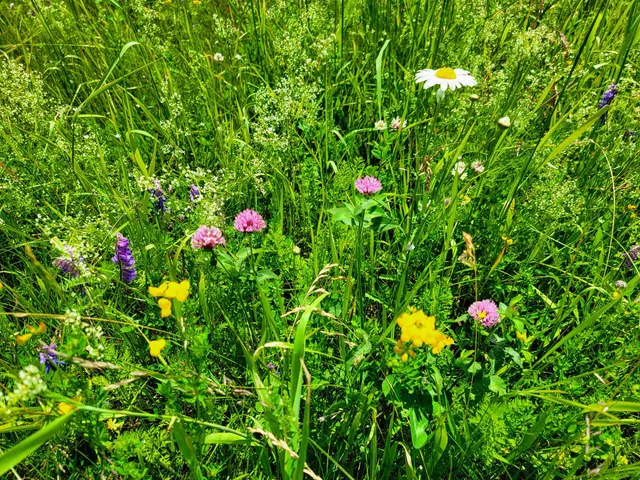 $272,000 | 4376 Highway 22A, Bridport, VT 05734