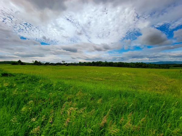 $272,000 | 4376 Highway 22A, Bridport, VT 05734