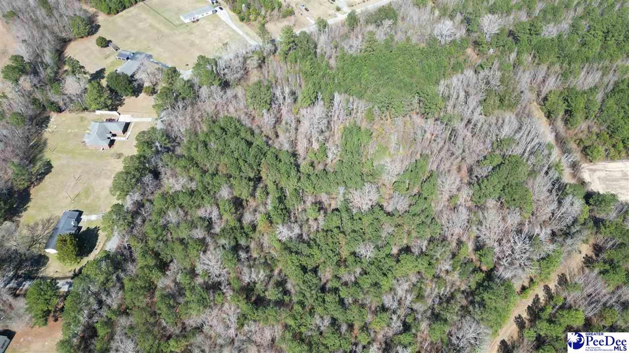 6.75-acres Silver Leaf Road Florence, SC 29505 - Photo 4 of 12 Gallery Image 4
